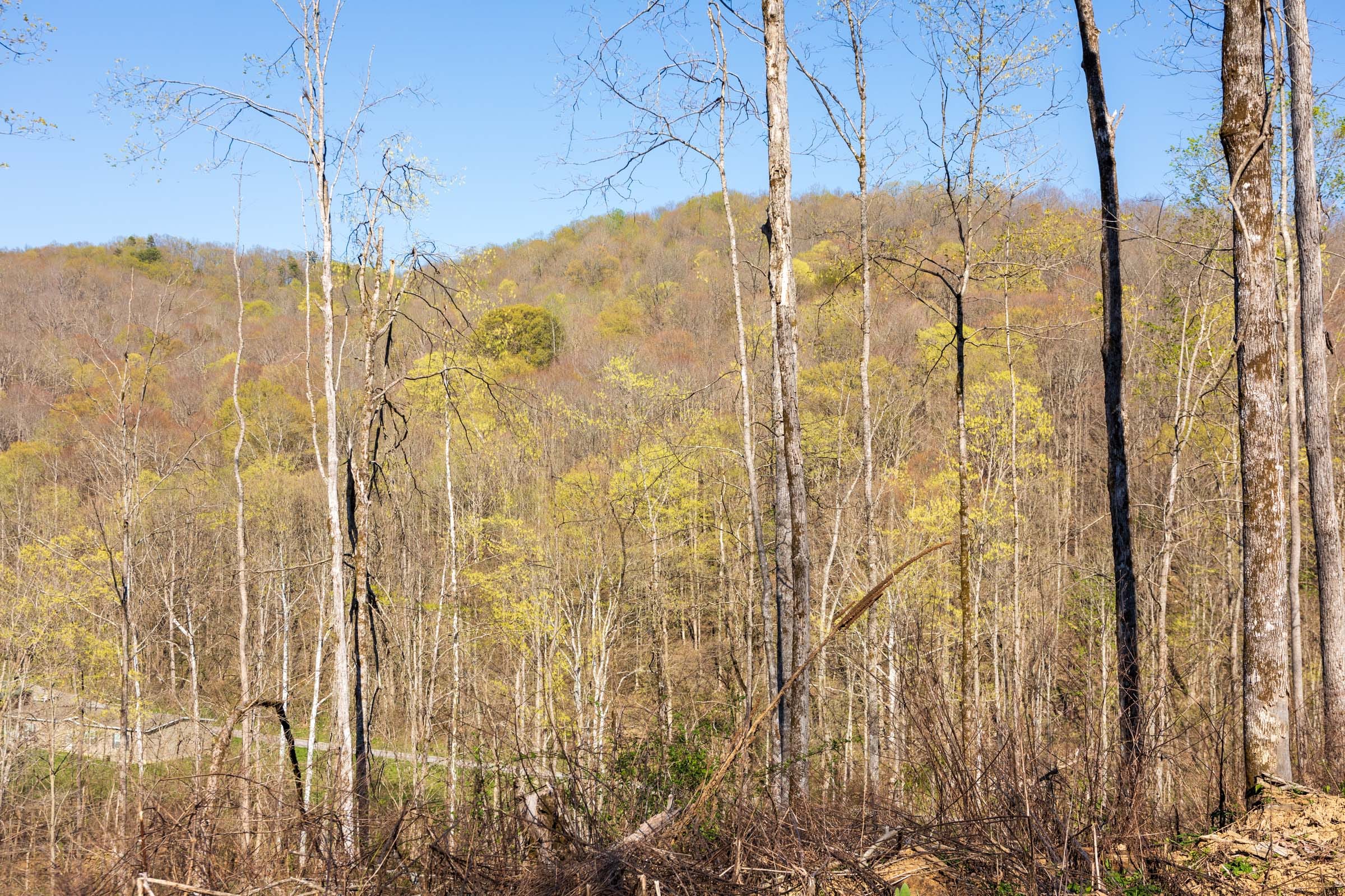 Creek Hollow Phase I Tract 37 photo 3