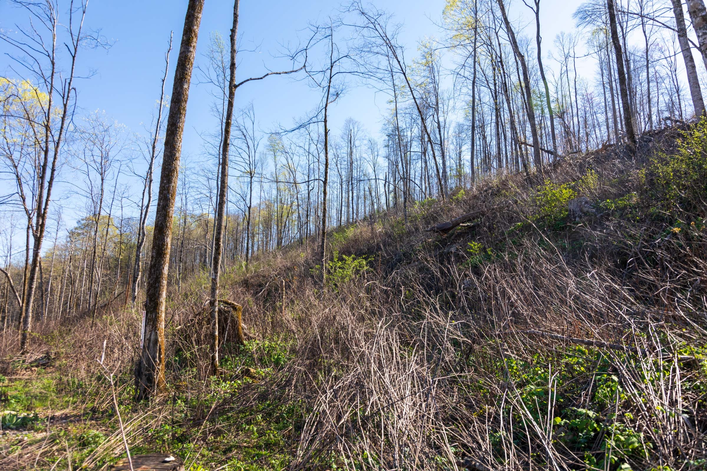 Creek Hollow Phase I Tract 37 photo 7