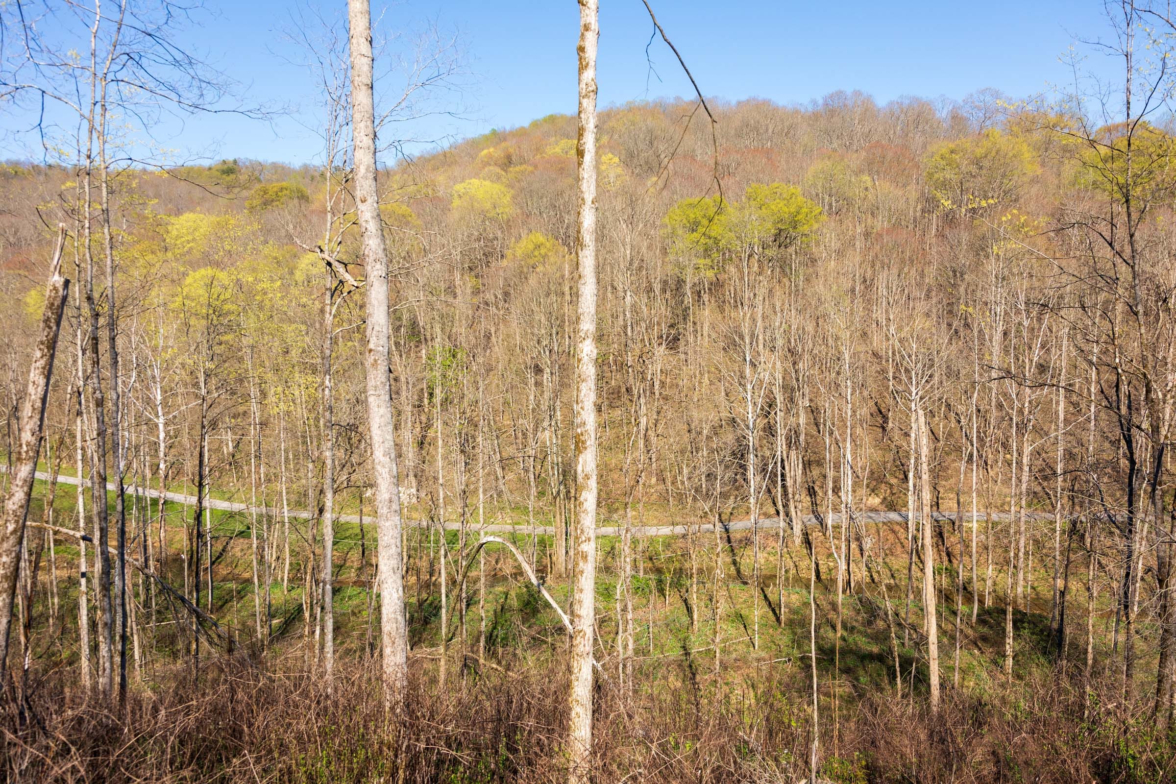 Creek Hollow Phase I Tract 37 photo 6