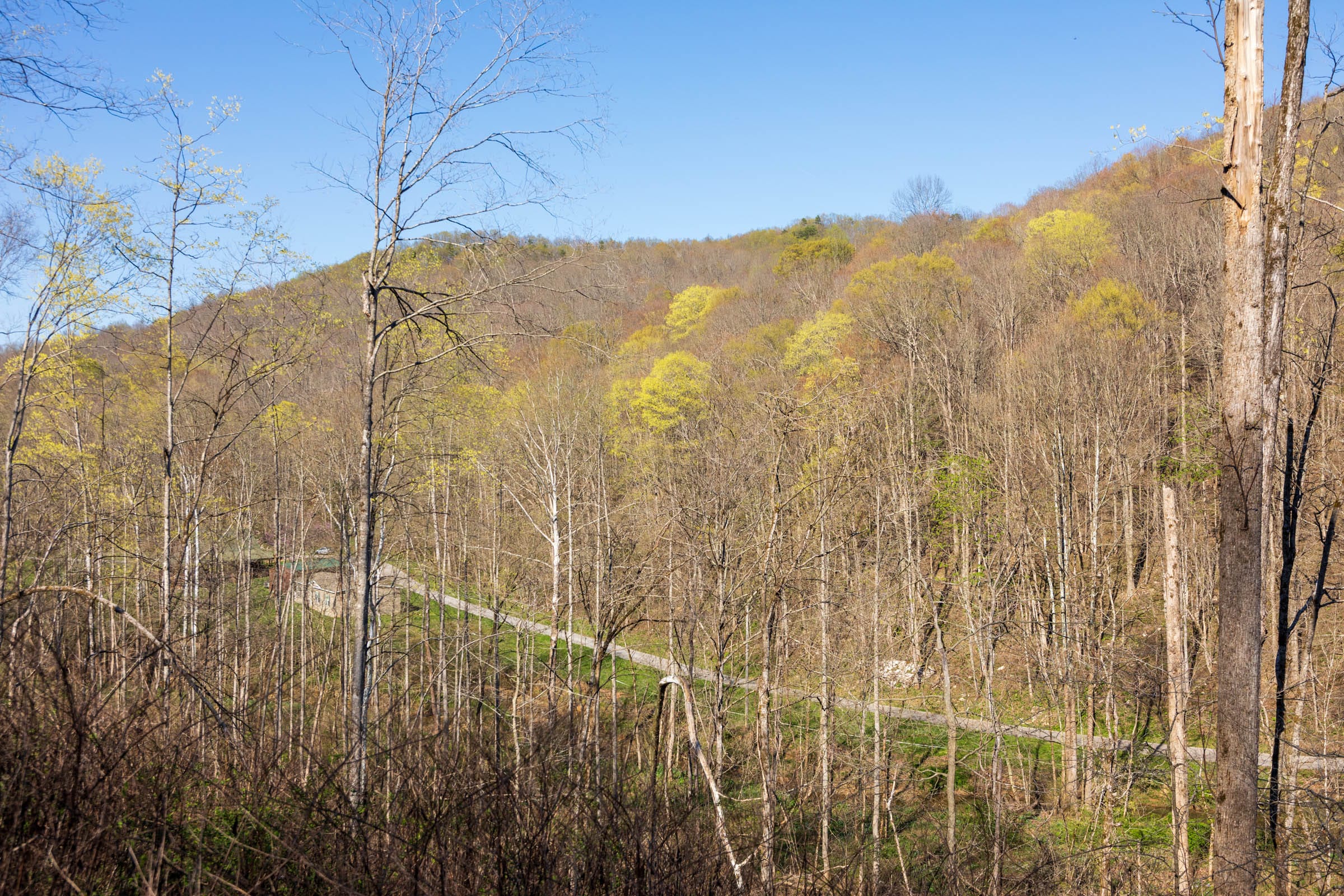 Creek Hollow Phase I Tract 37 photo 9