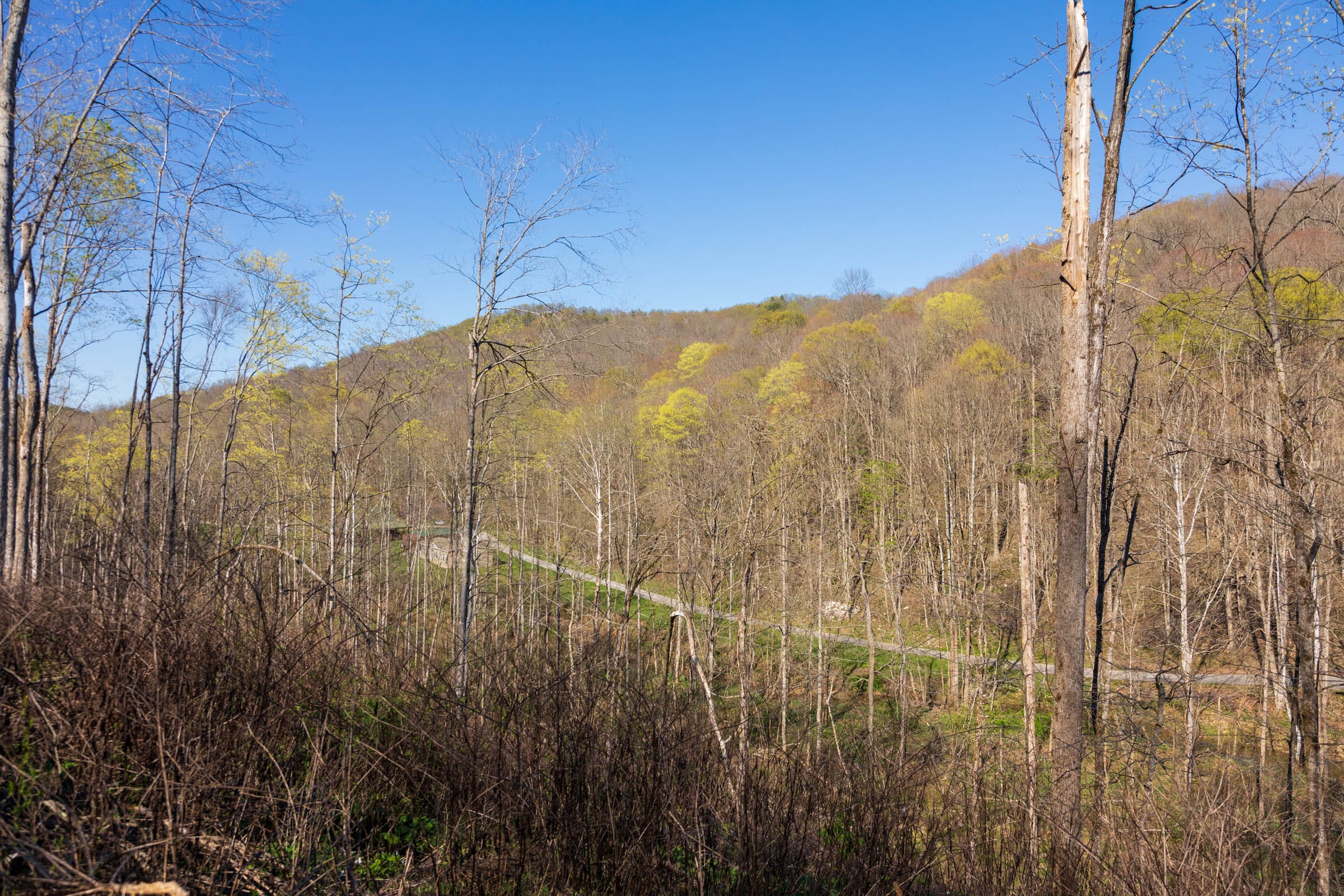 Creek Hollow Phase I Tract 37 photo 10