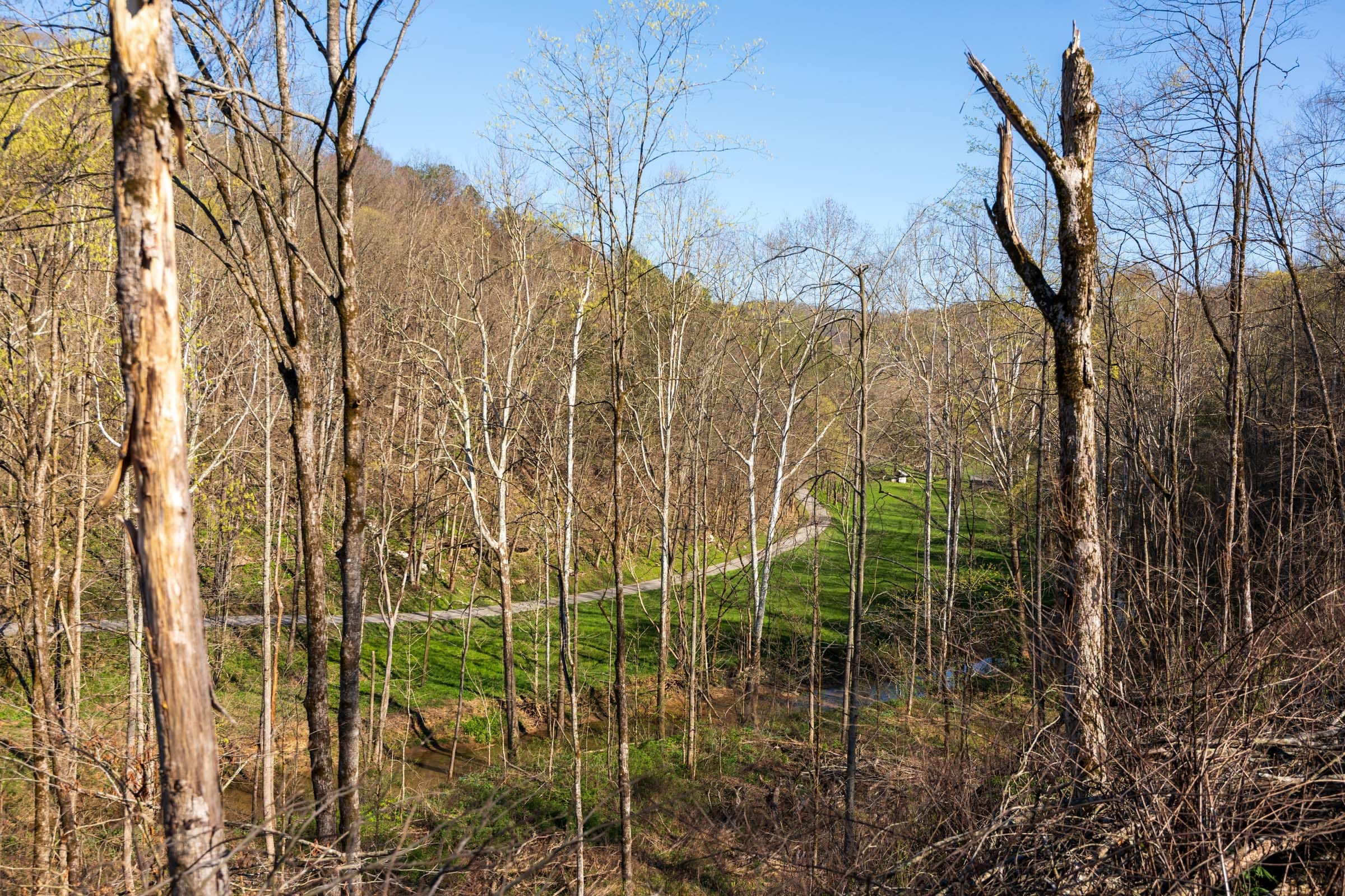 Creek Hollow Phase I Tract 37 photo 11
