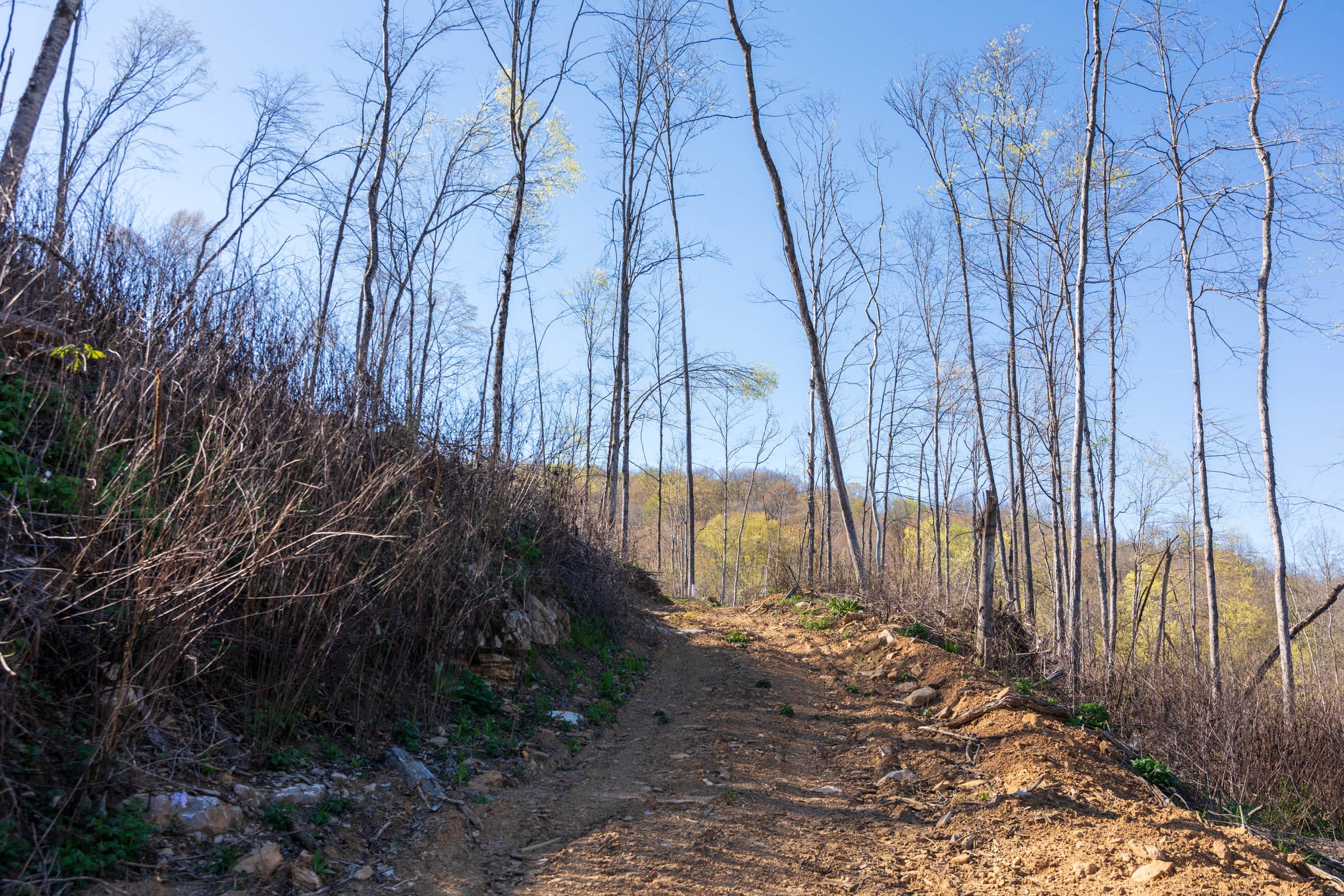 Creek Hollow Phase I Tract 37 photo 8