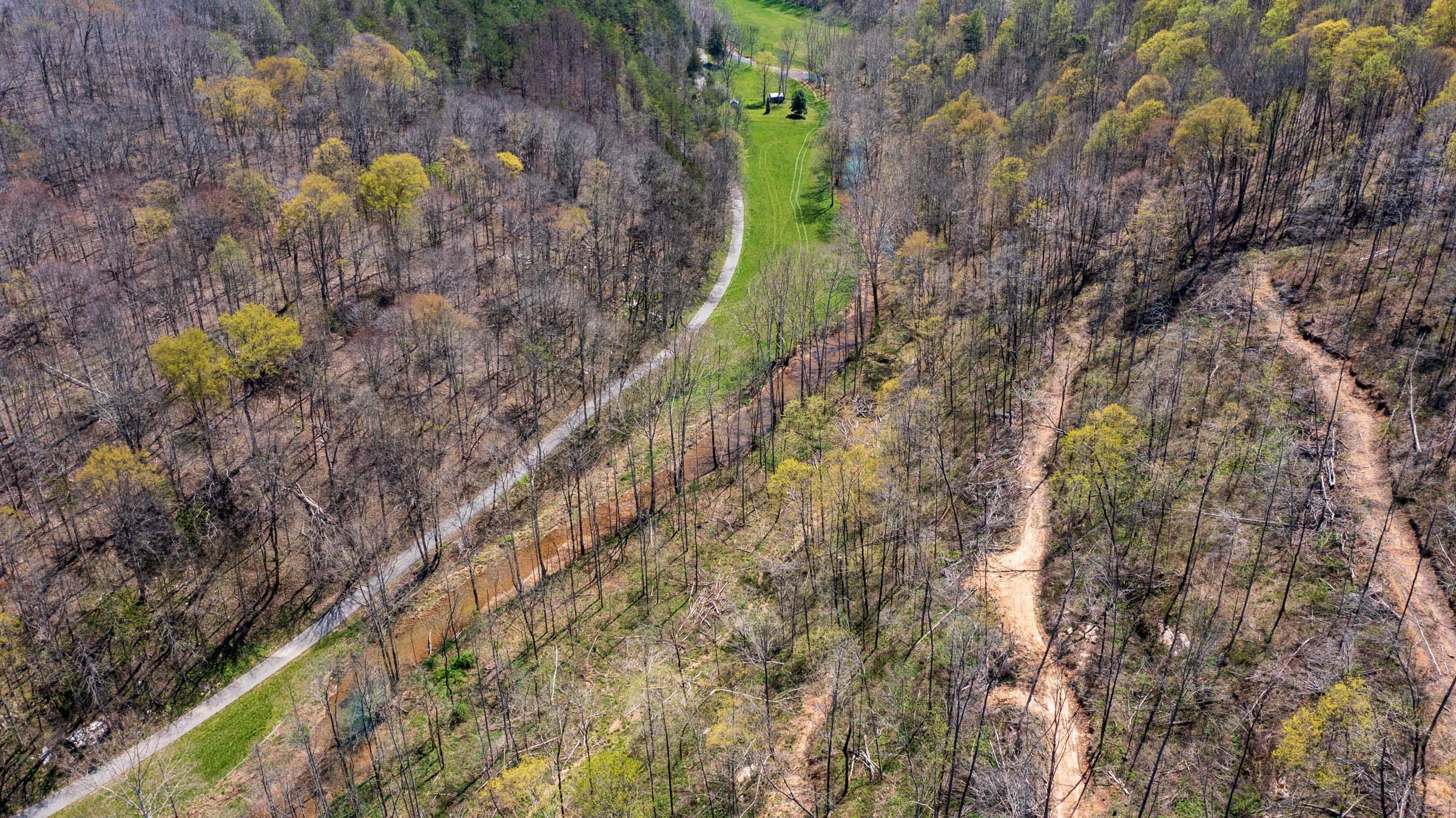 Creek Hollow Phase I Tract 37 photo 14