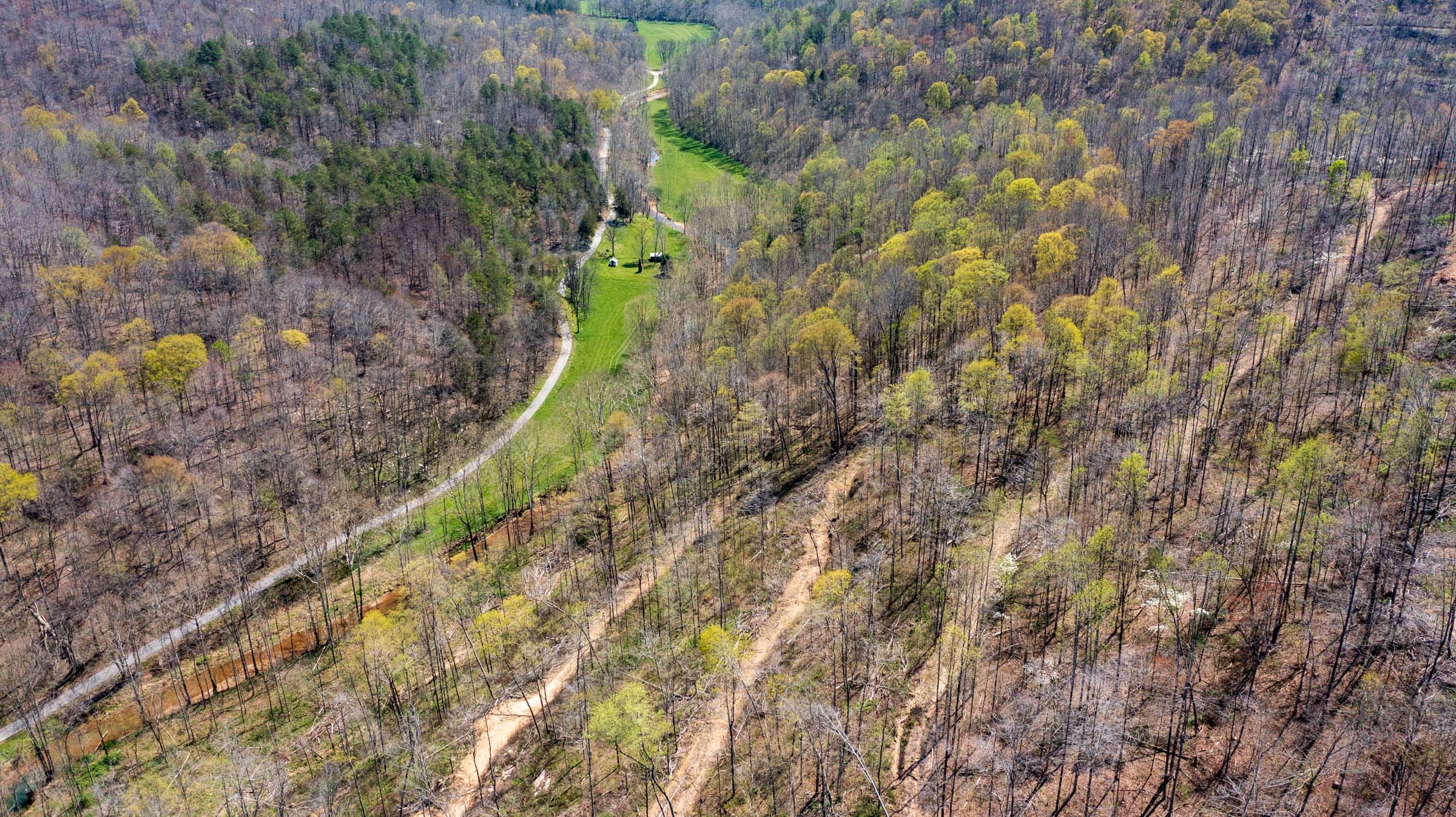 Creek Hollow Phase I Tract 37 photo 15