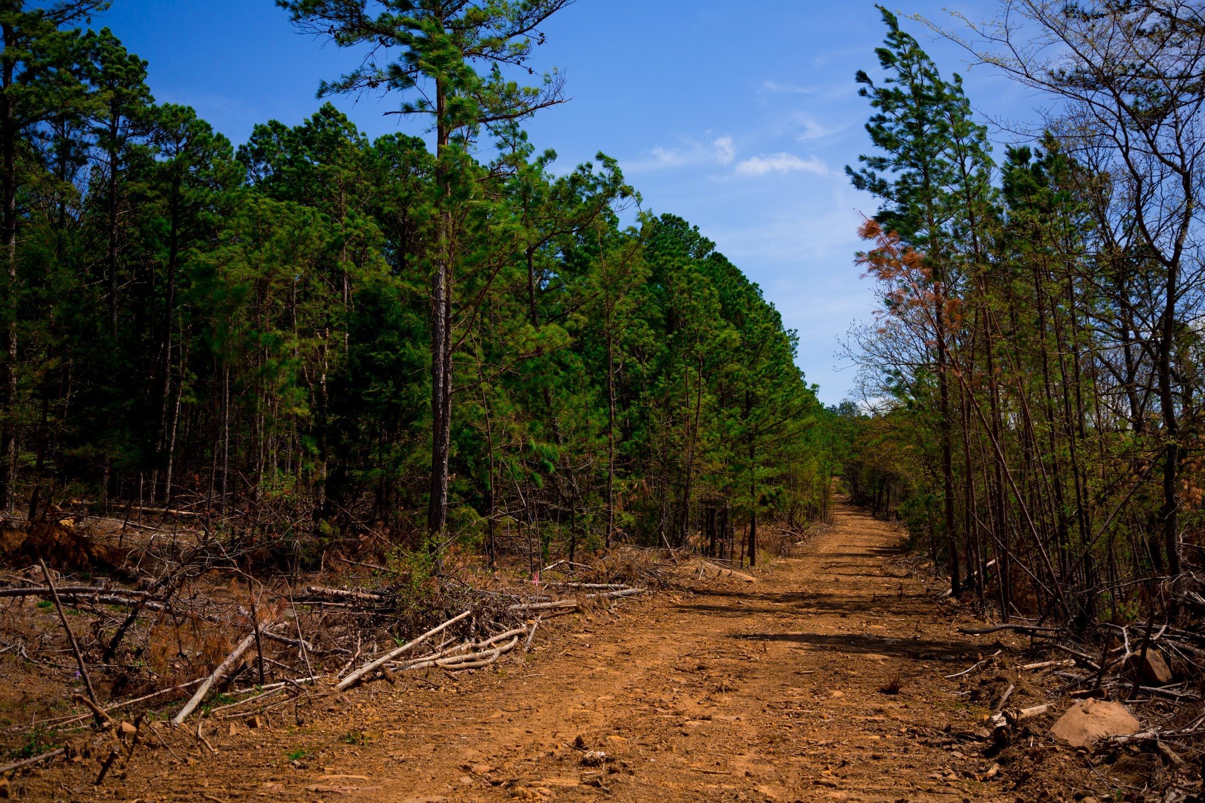 Stone Creek Phase II Tract 247 photo 2