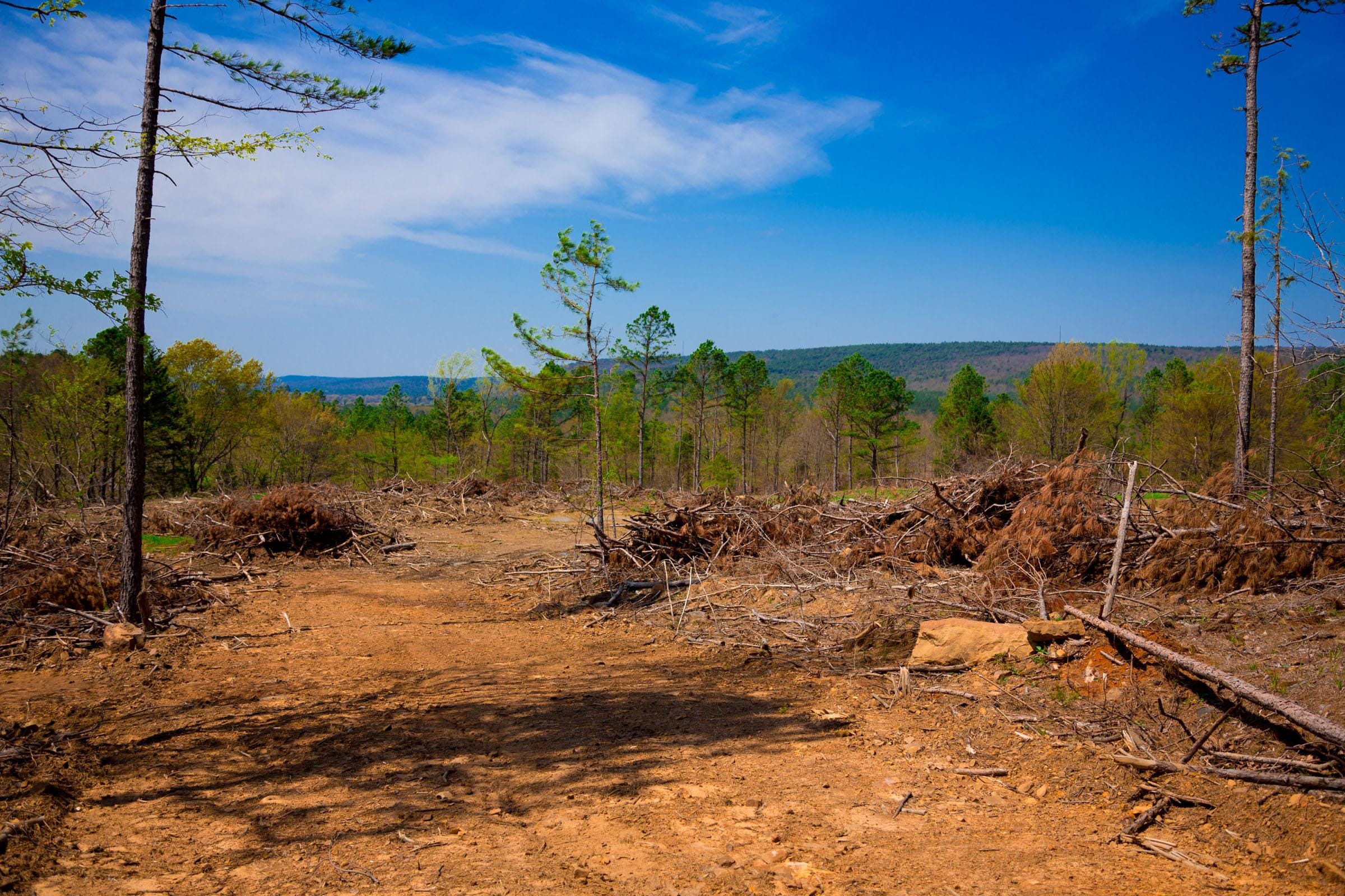 Stone Creek Phase II Tract 247 photo 3