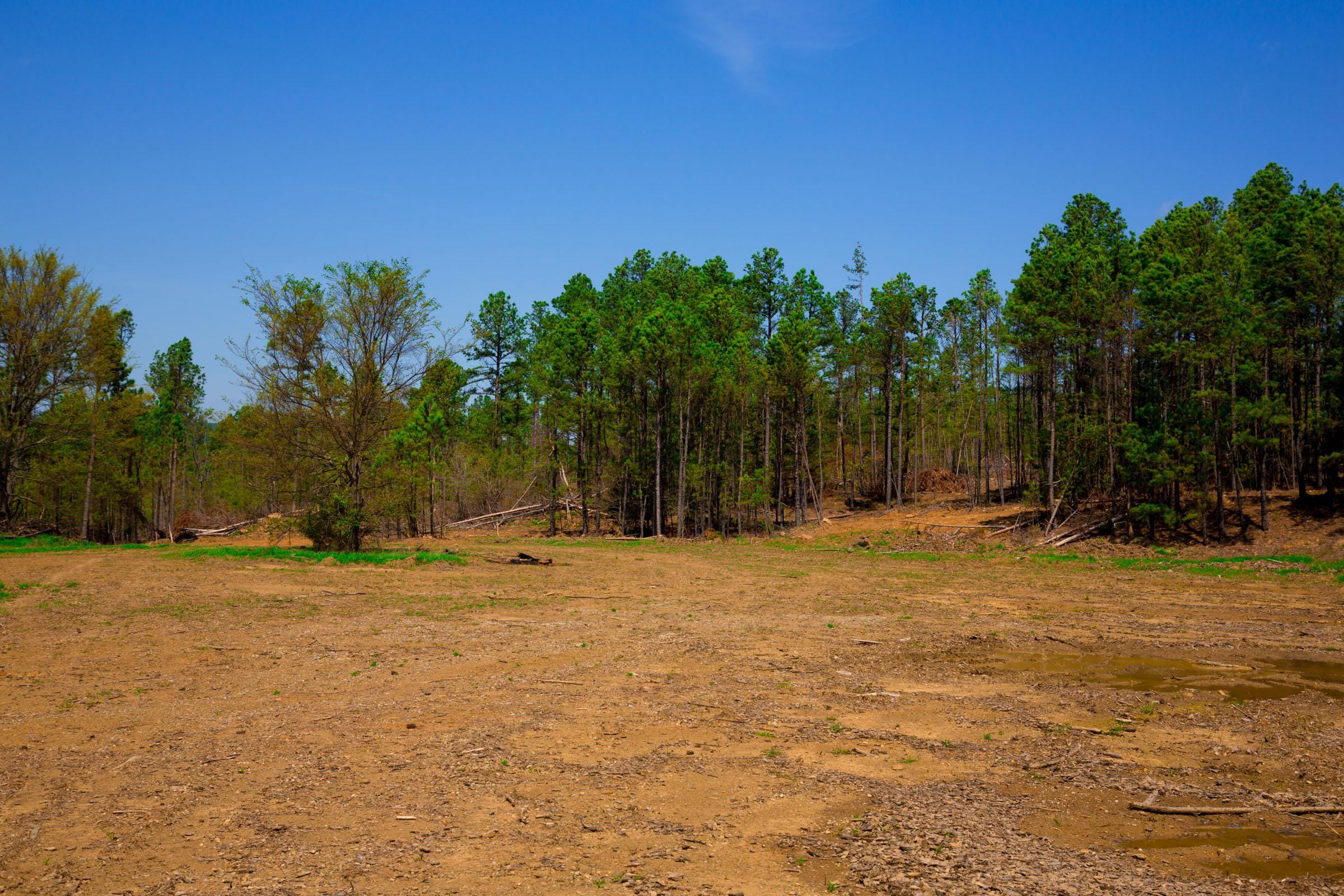 Stone Creek Phase II Tract 247 photo 6