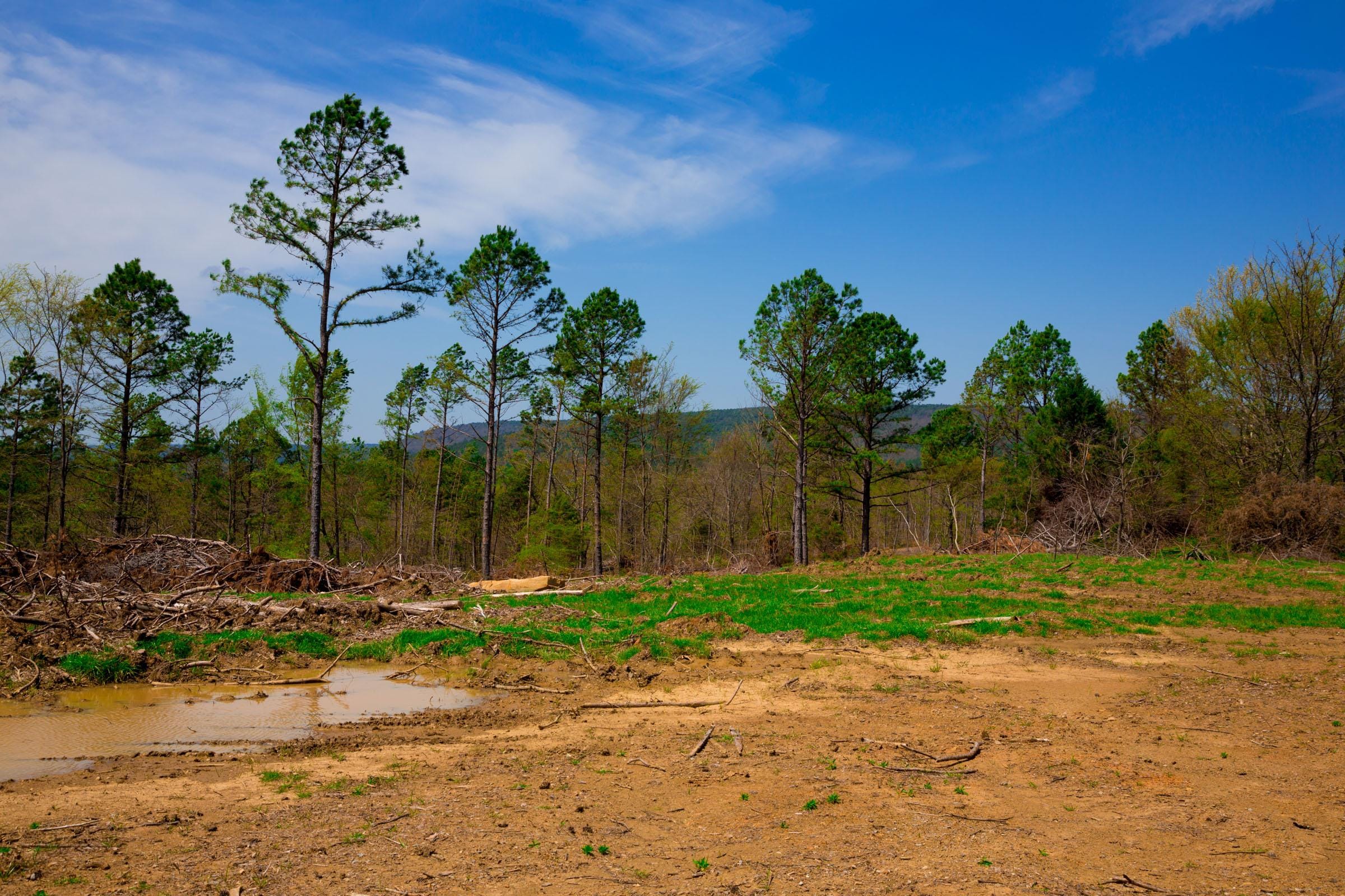 Stone Creek Phase II Tract 247 photo 7