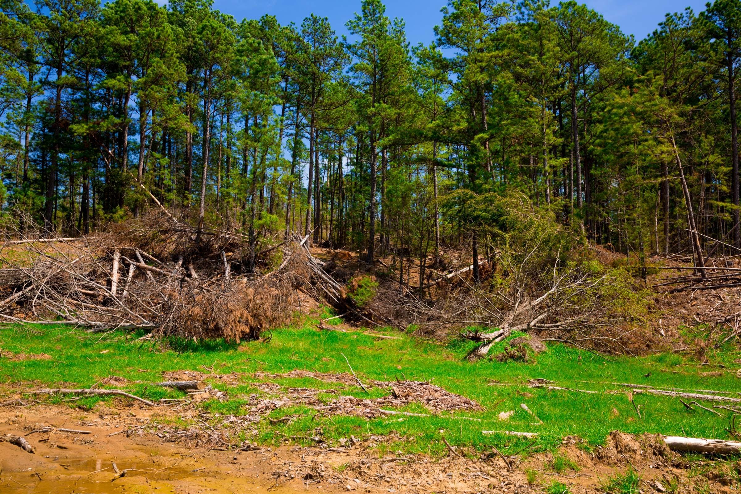 Stone Creek Phase II Tract 247 photo 8