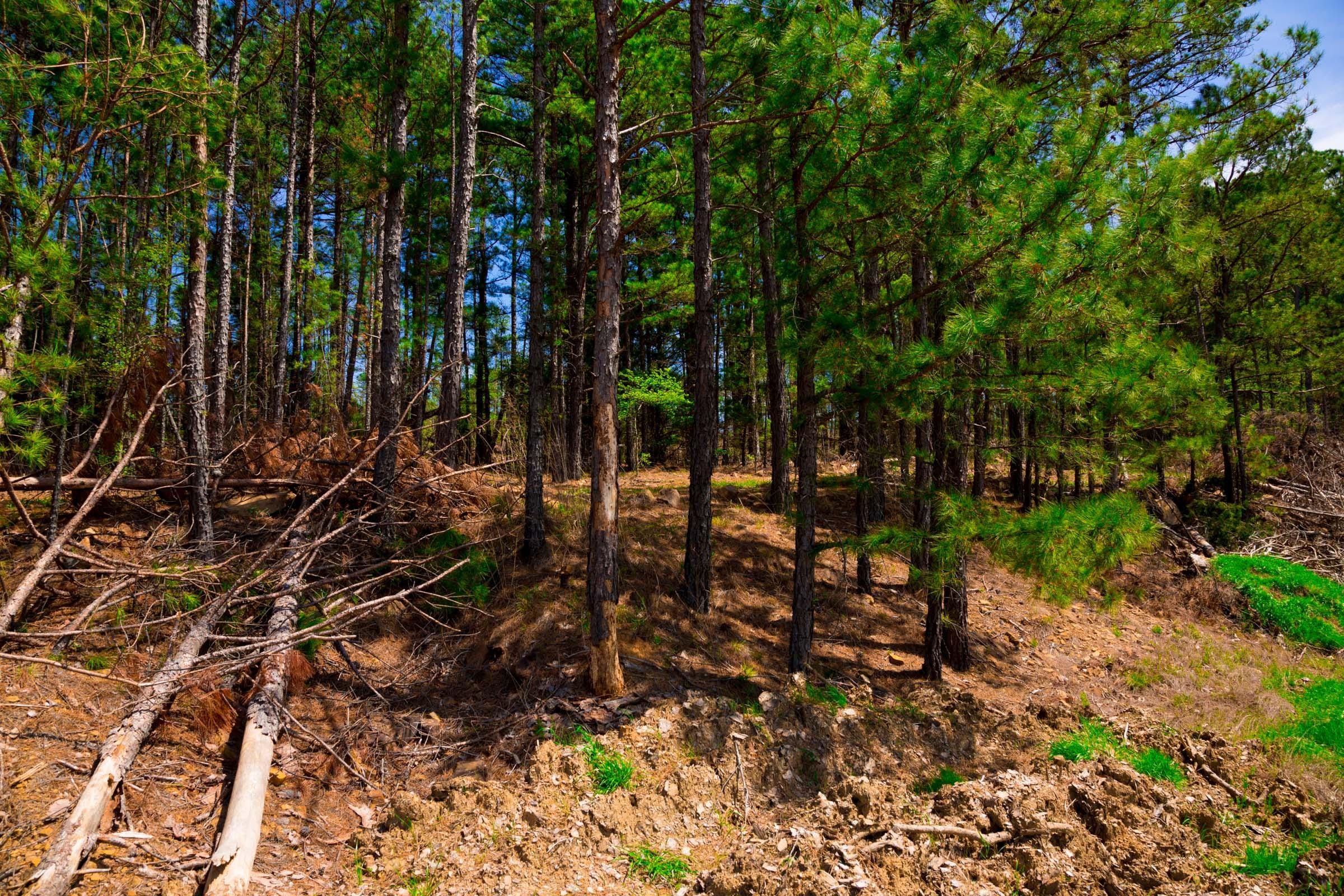 Stone Creek Phase II Tract 247 photo 9