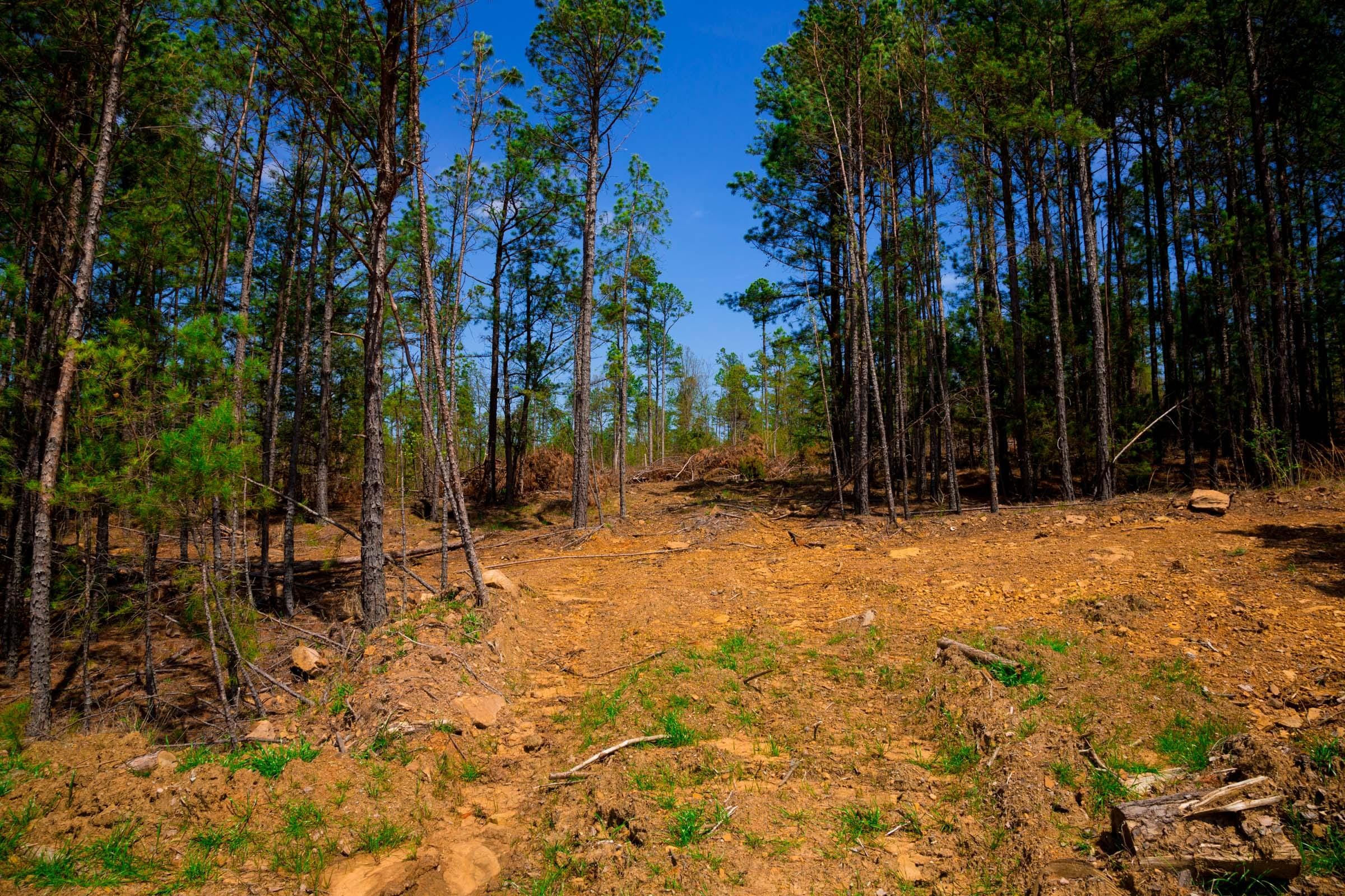 Stone Creek Phase II Tract 247 photo 10