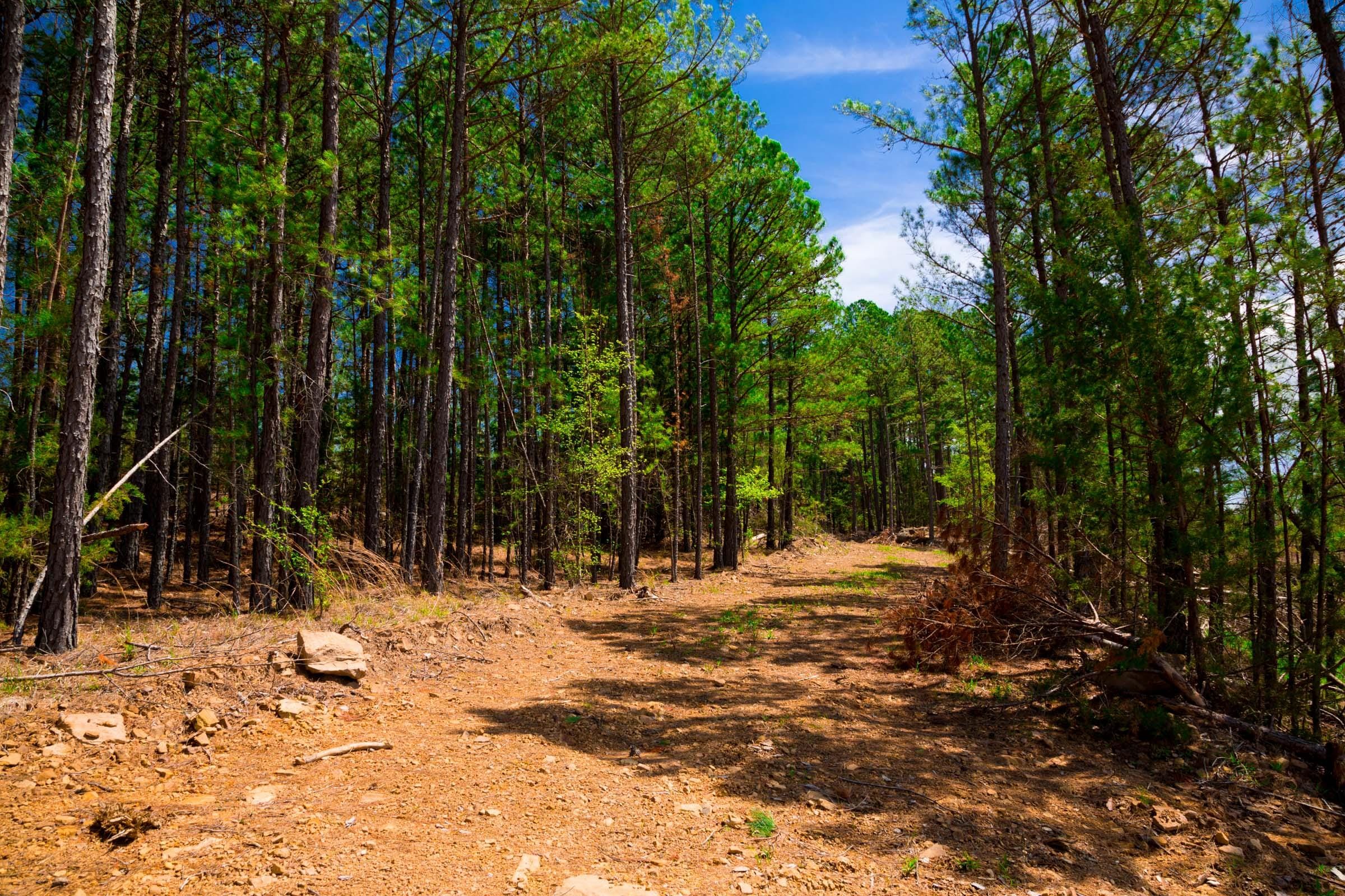 Stone Creek Phase II Tract 247 photo 11