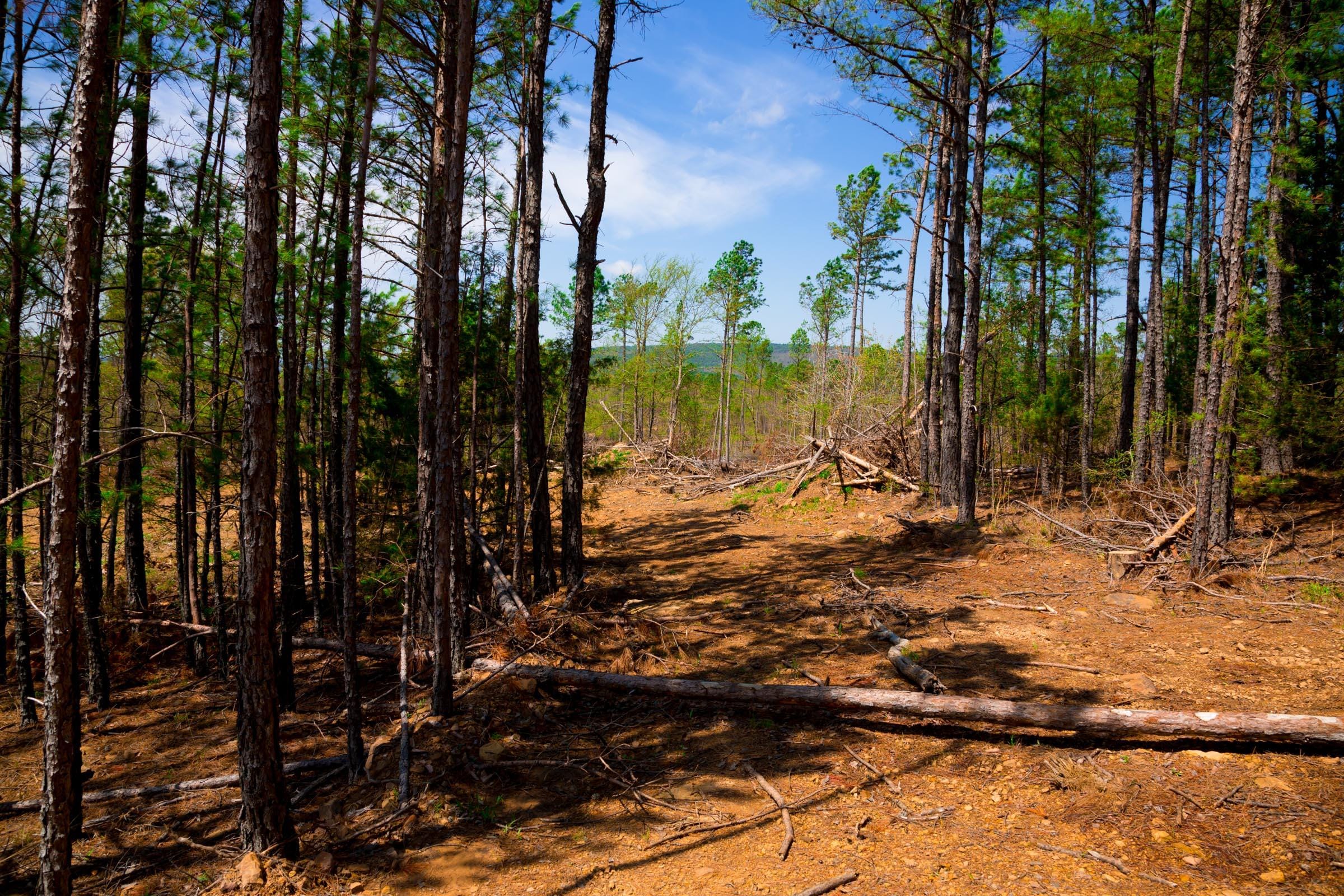 Stone Creek Phase II Tract 247 photo 12