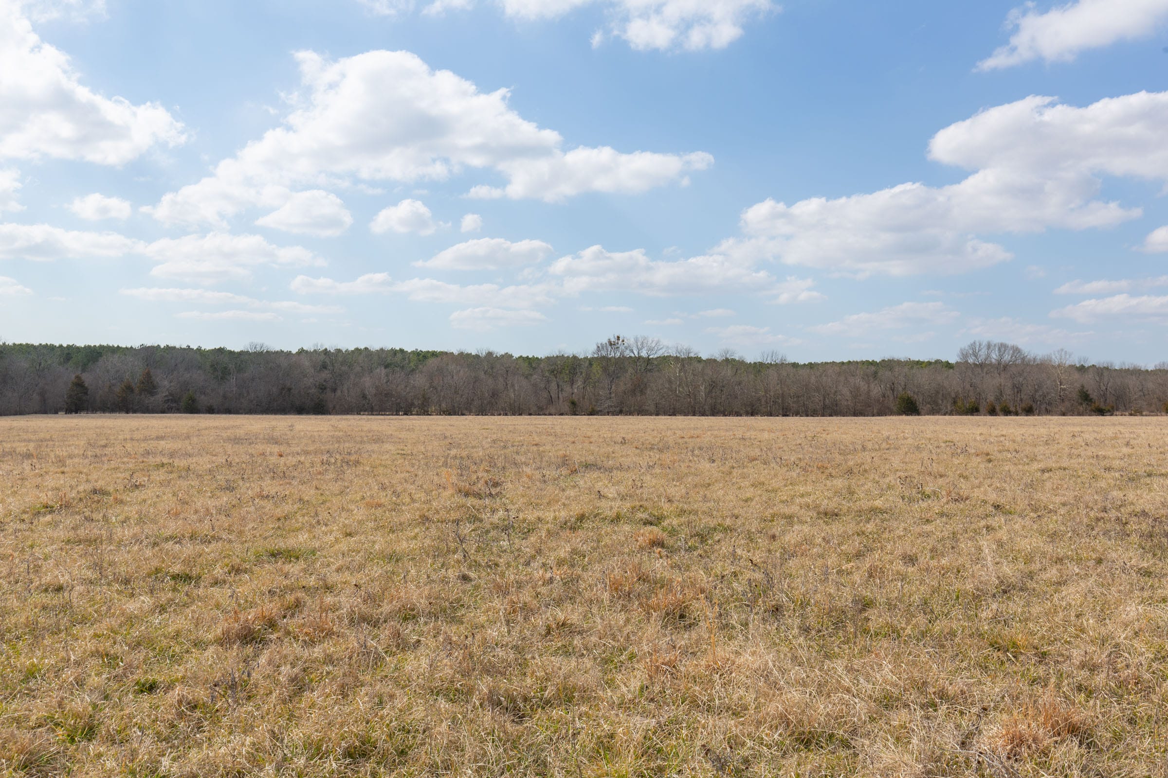 Wishing Star Ranch Tract 34 photo 2
