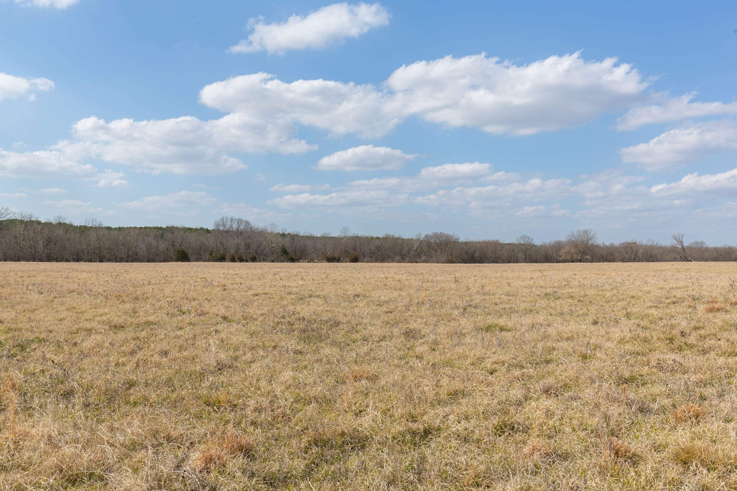 Wishing Star Ranch Tract 34 photo 3