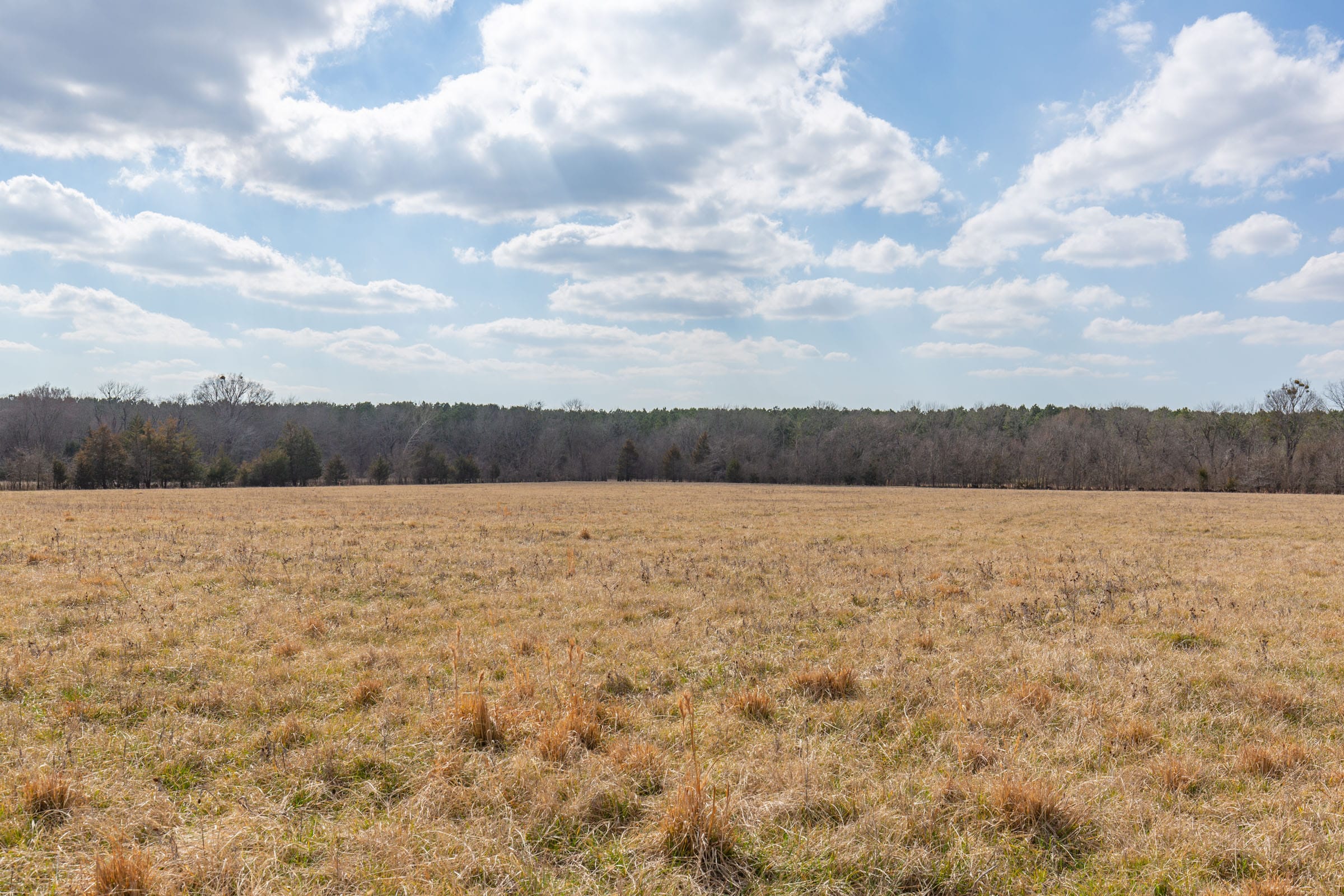 Wishing Star Ranch Tract 34 photo 4