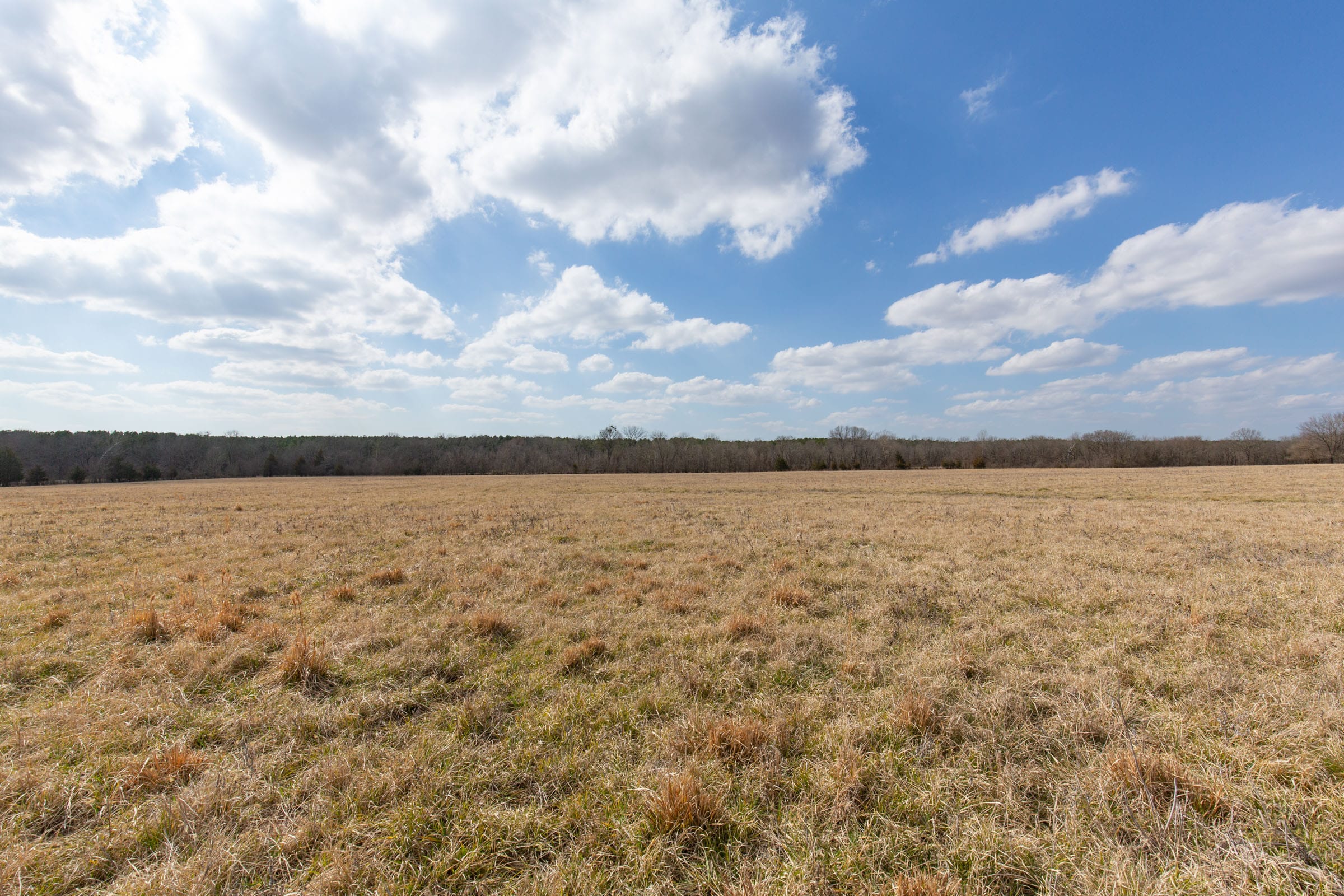 Wishing Star Ranch Tract 34 photo 5