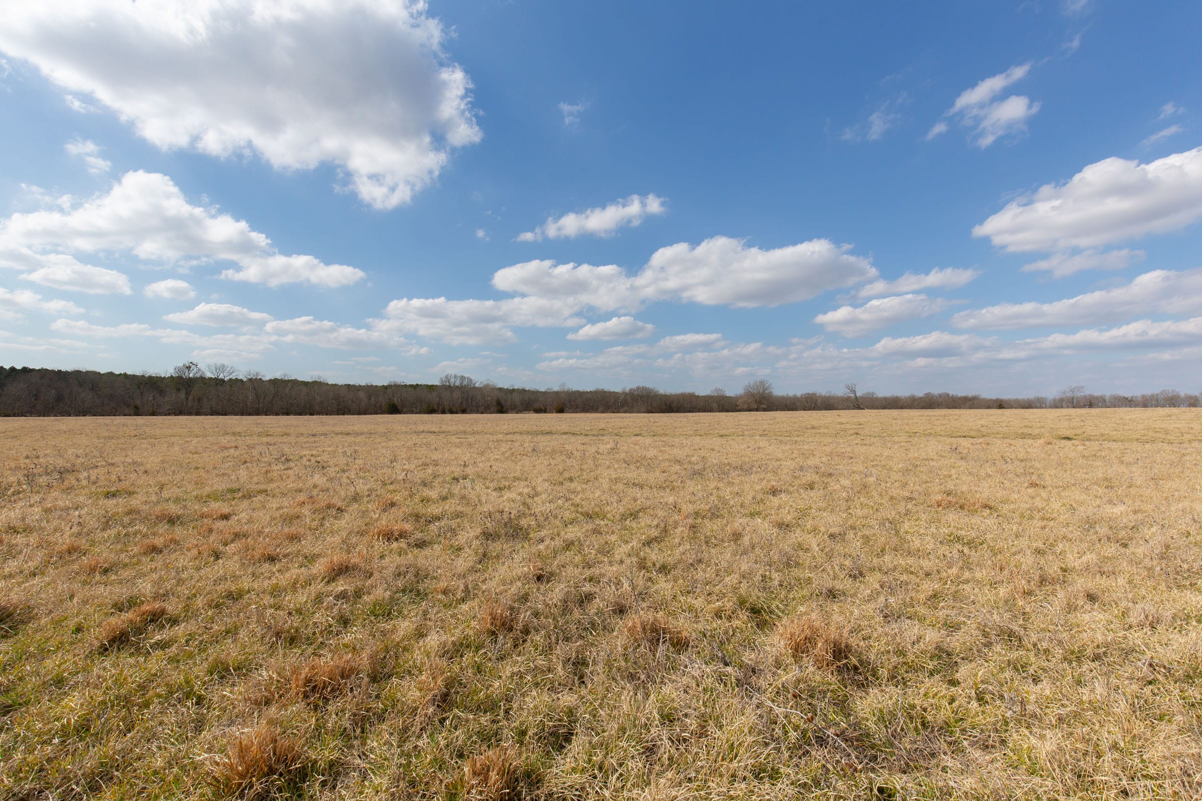 Wishing Star Ranch Tract 34 photo 6
