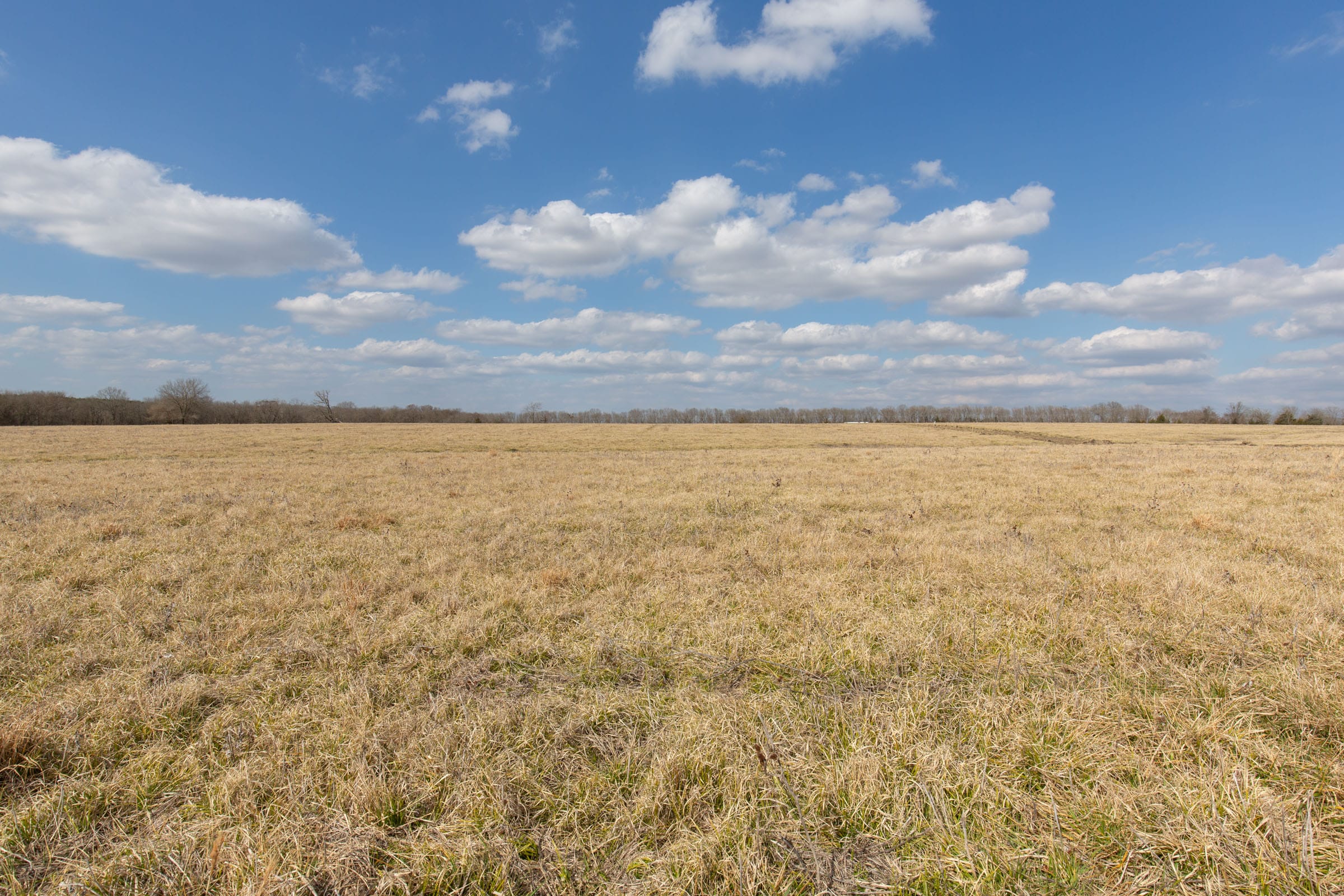Wishing Star Ranch Tract 34 photo 7