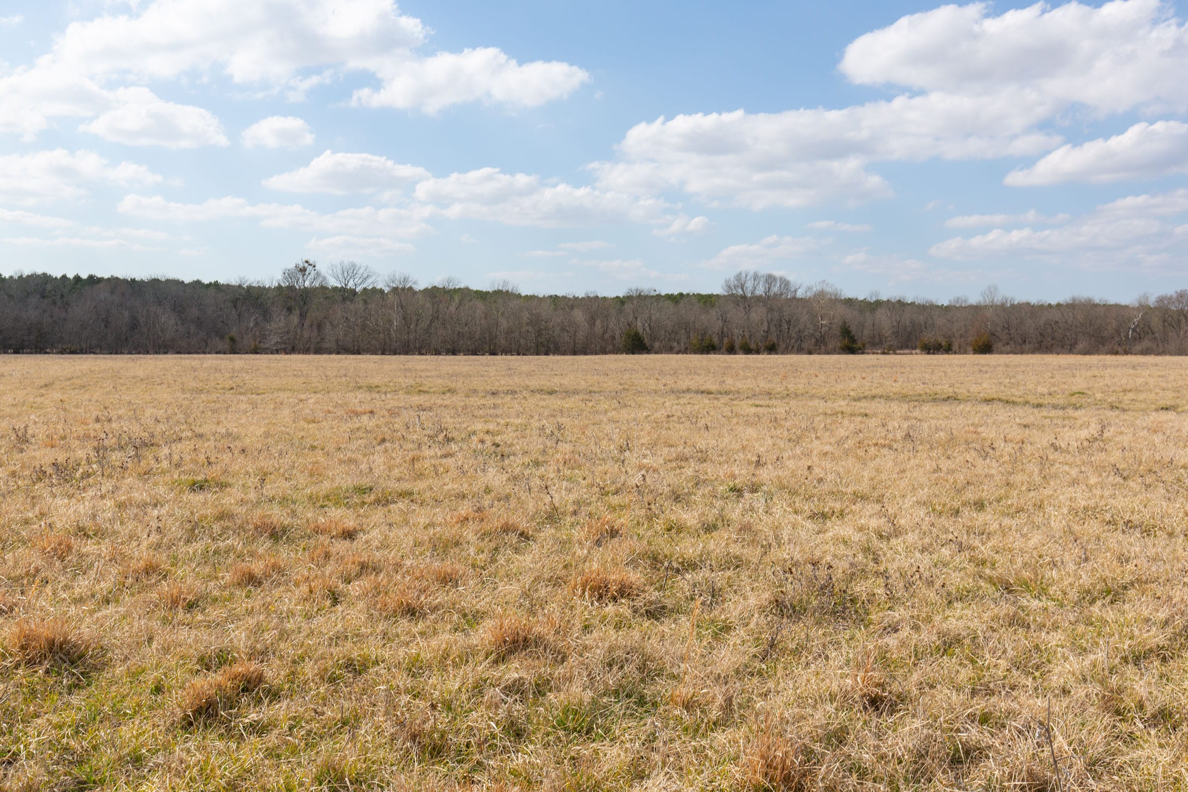 Wishing Star Ranch Tract 34 photo 8