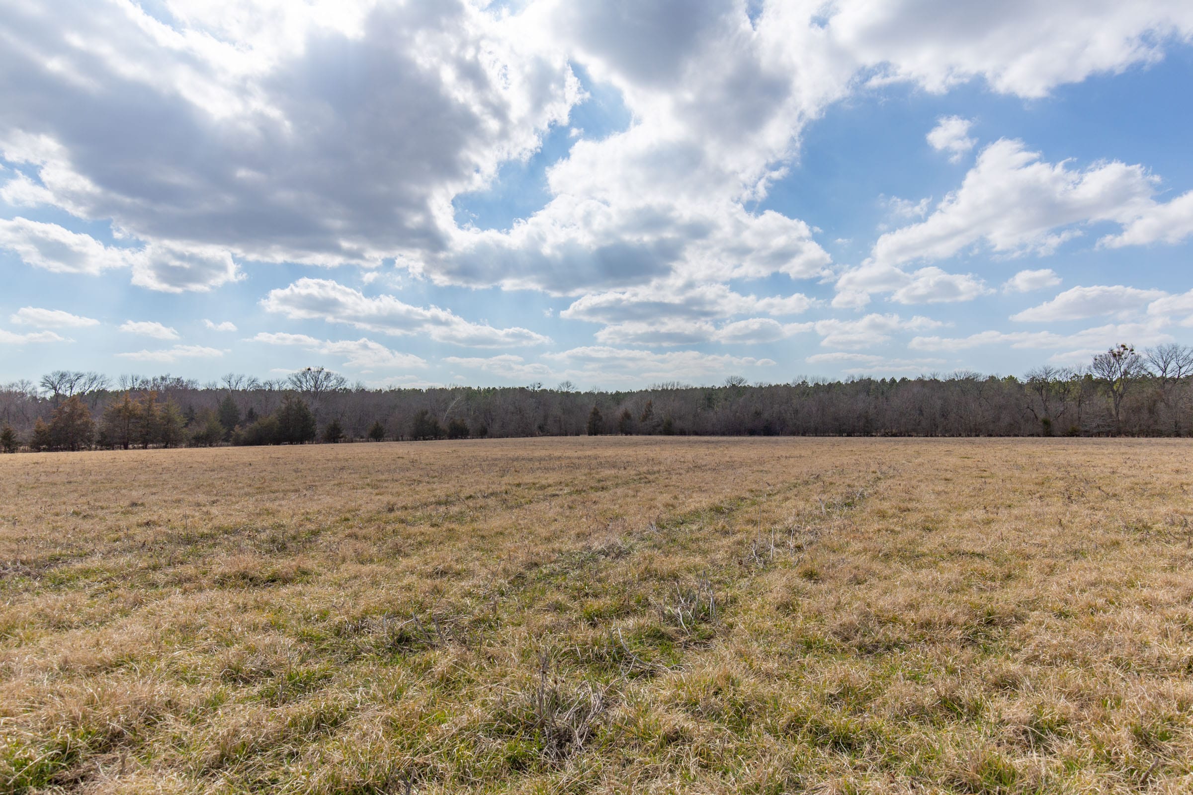Wishing Star Ranch Tract 34 photo 10