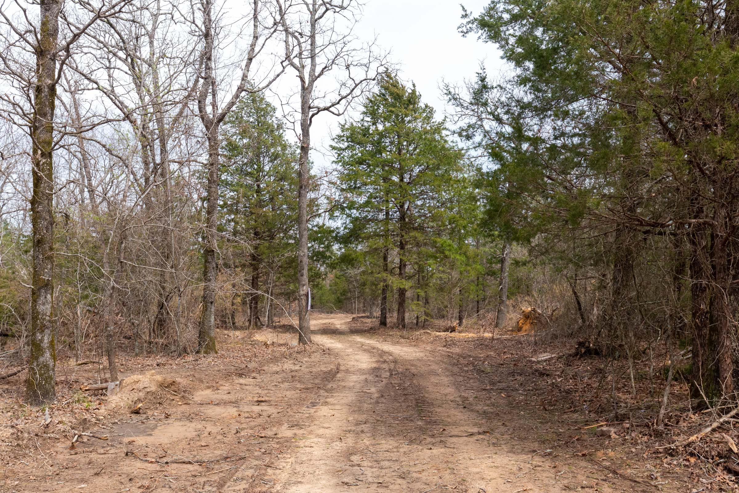 Stone Bridge Phase III Tract 148 photo 7