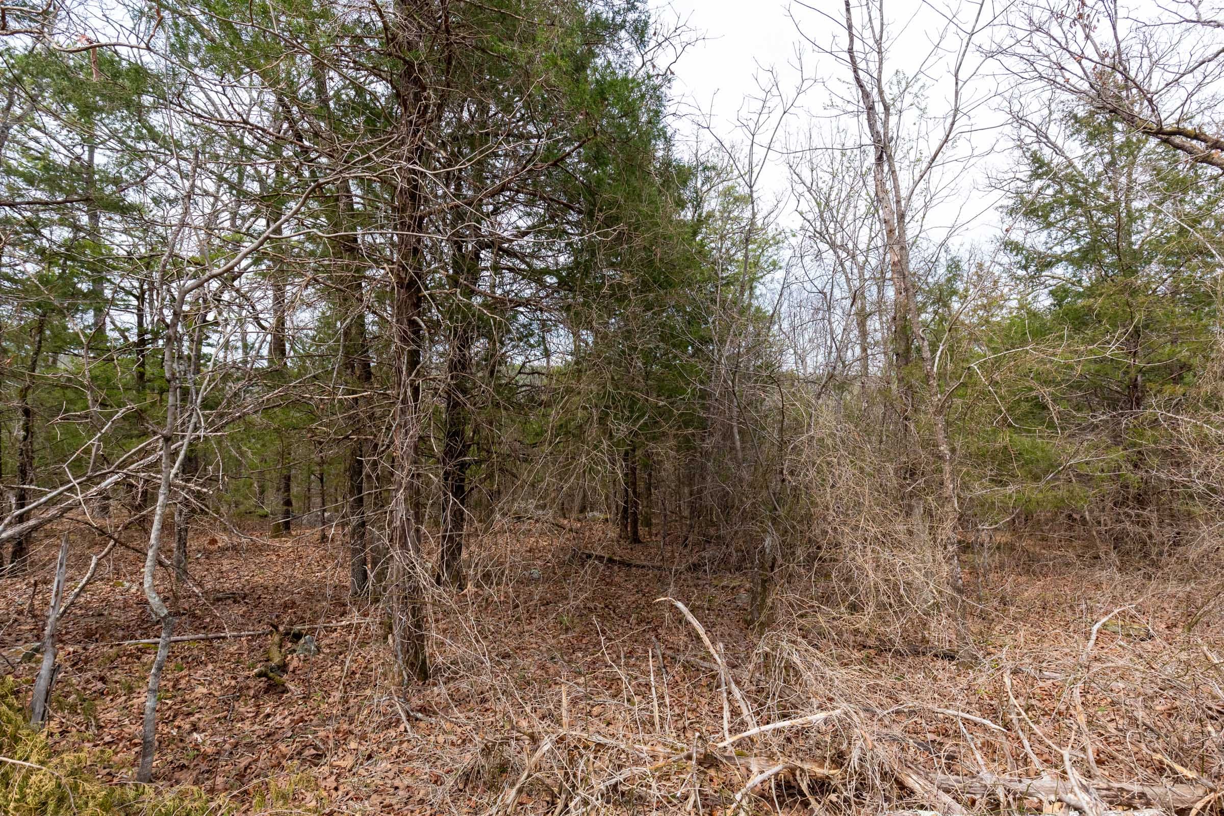 Stone Bridge Phase III Tract 148 photo 11