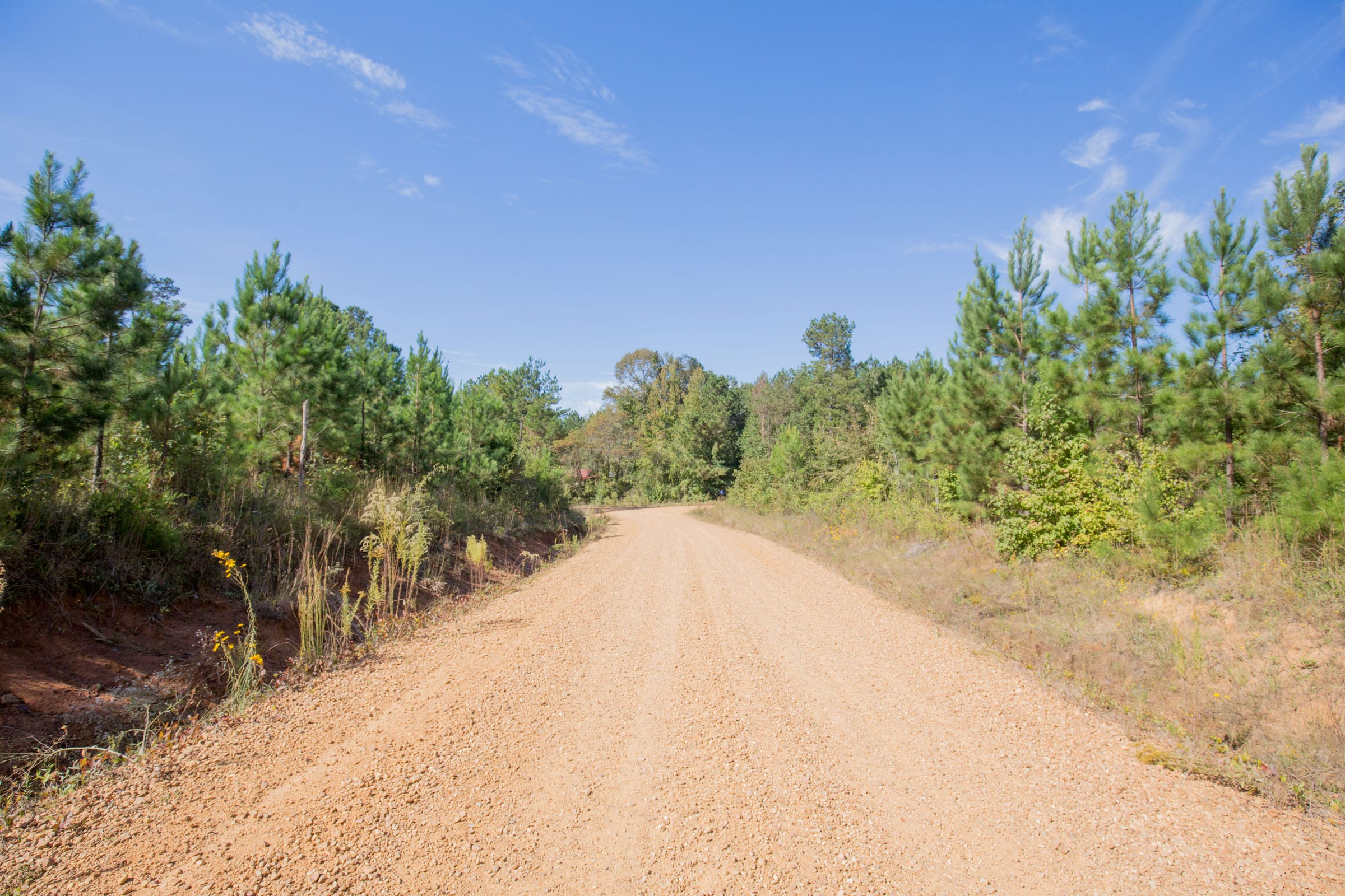 Sky Ranch Tract 2 photo 5