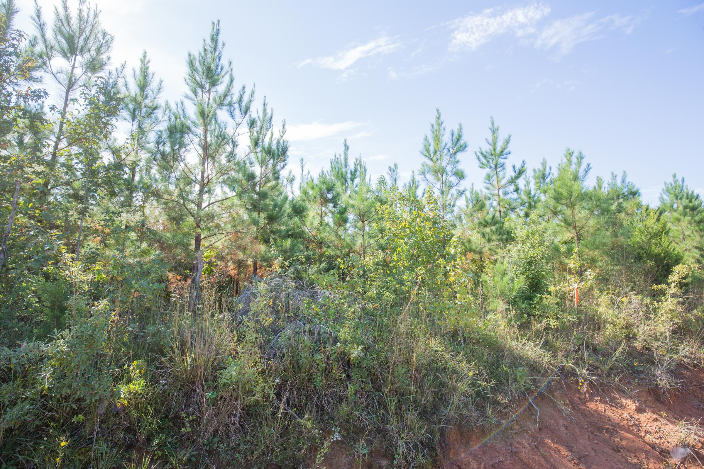 Sky Ranch Tract 2 photo 9