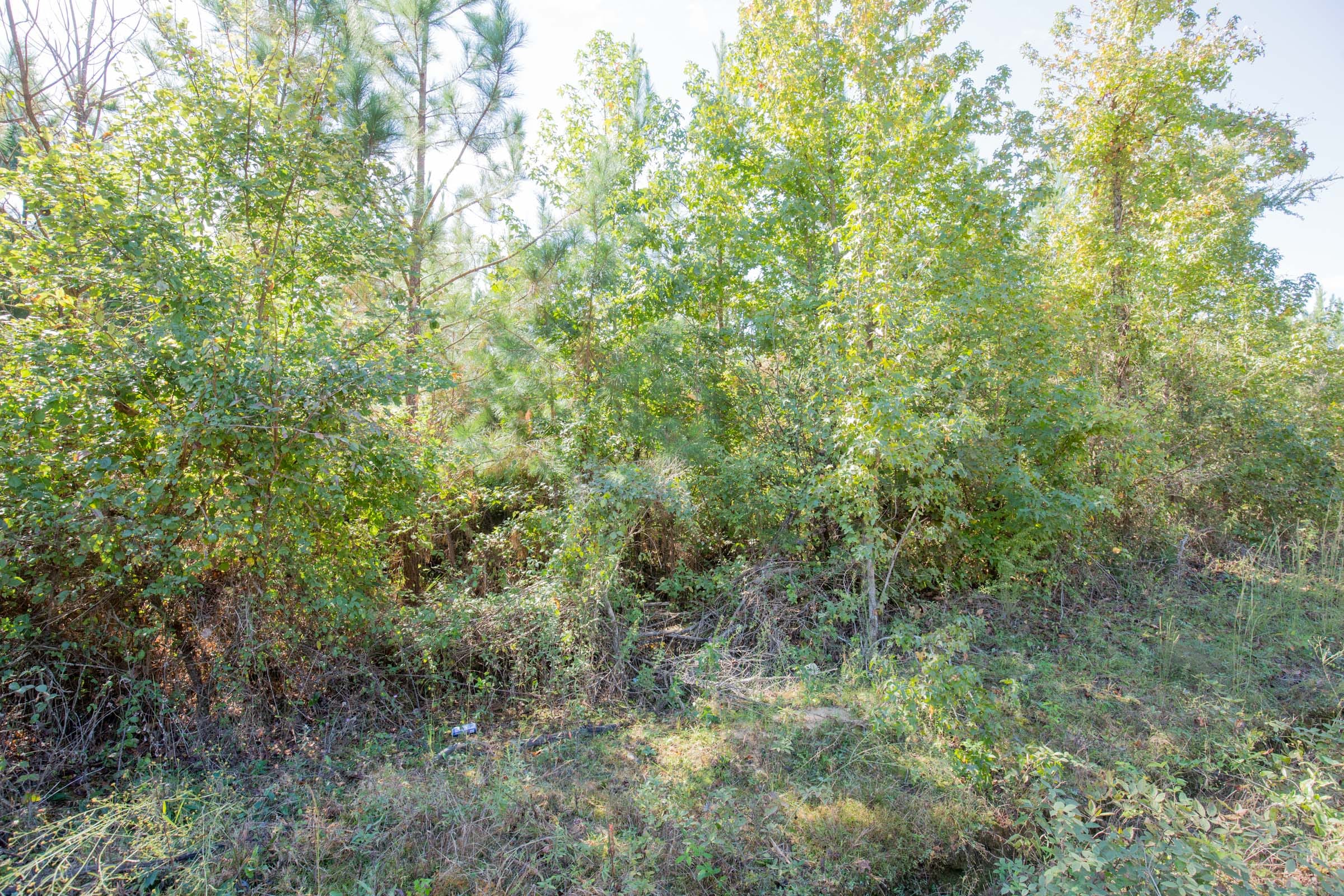 Sky Ranch Tract 2 photo 11