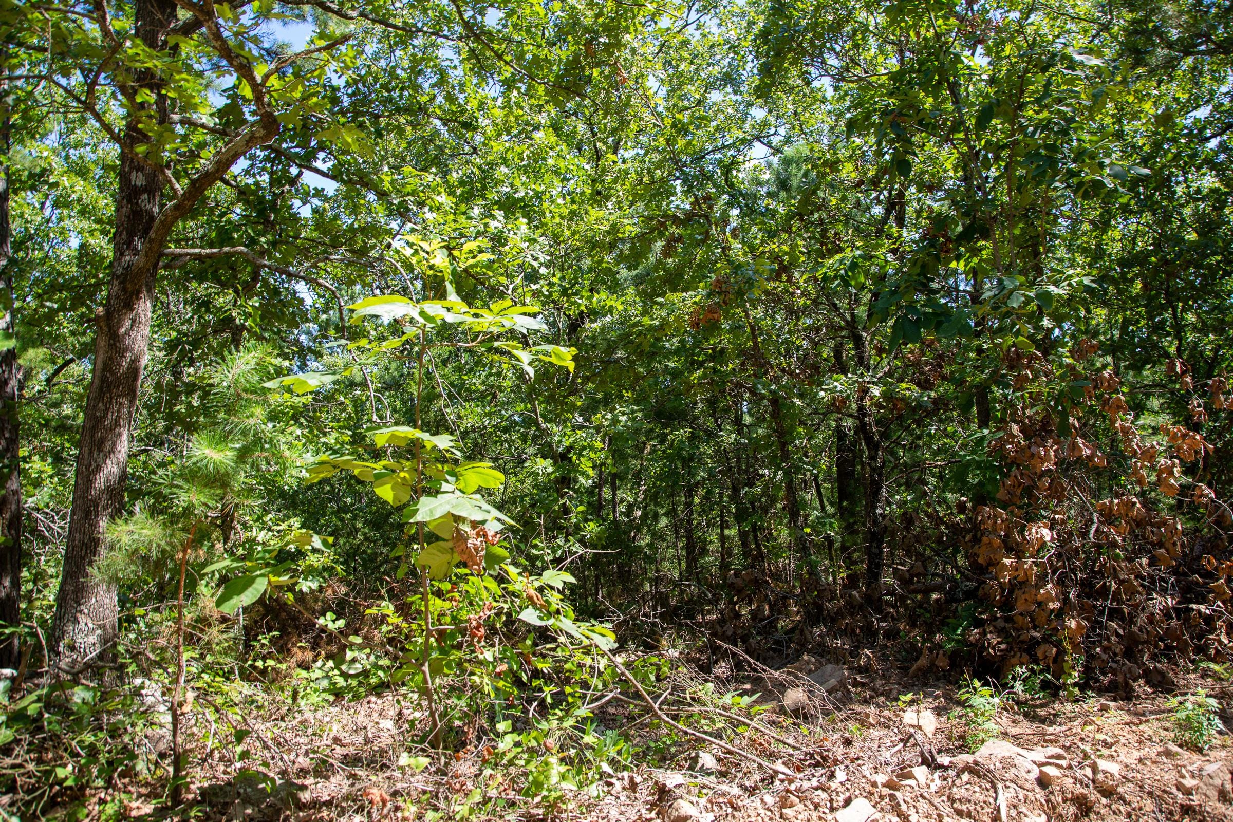 Tyler Stone Ranch Tract 37 photo 5