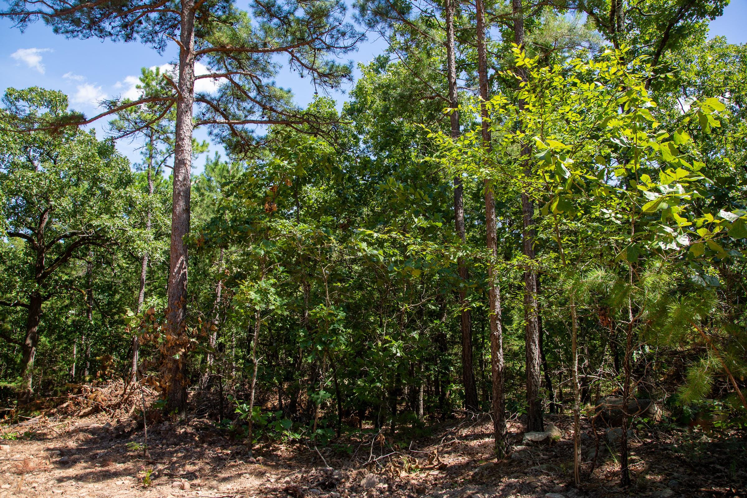 Tyler Stone Ranch Tract 37 photo 1