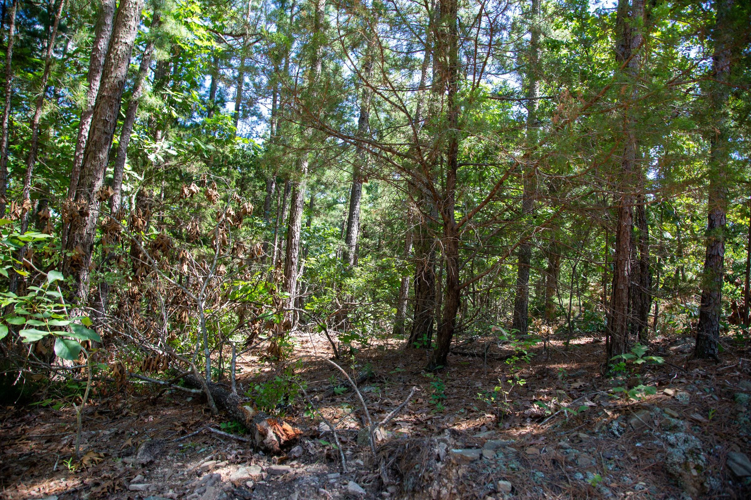 Tyler Stone Ranch Tract 37 photo 7