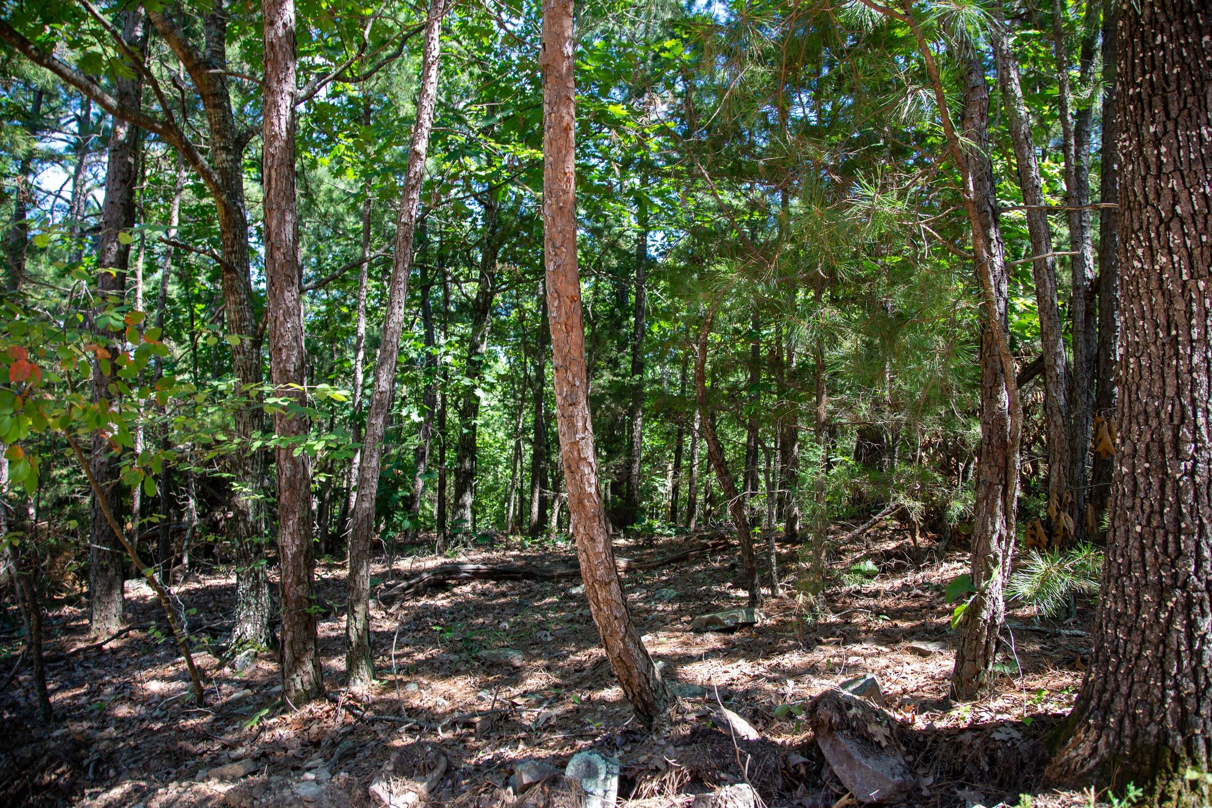 Tyler Stone Ranch Tract 37 photo 8