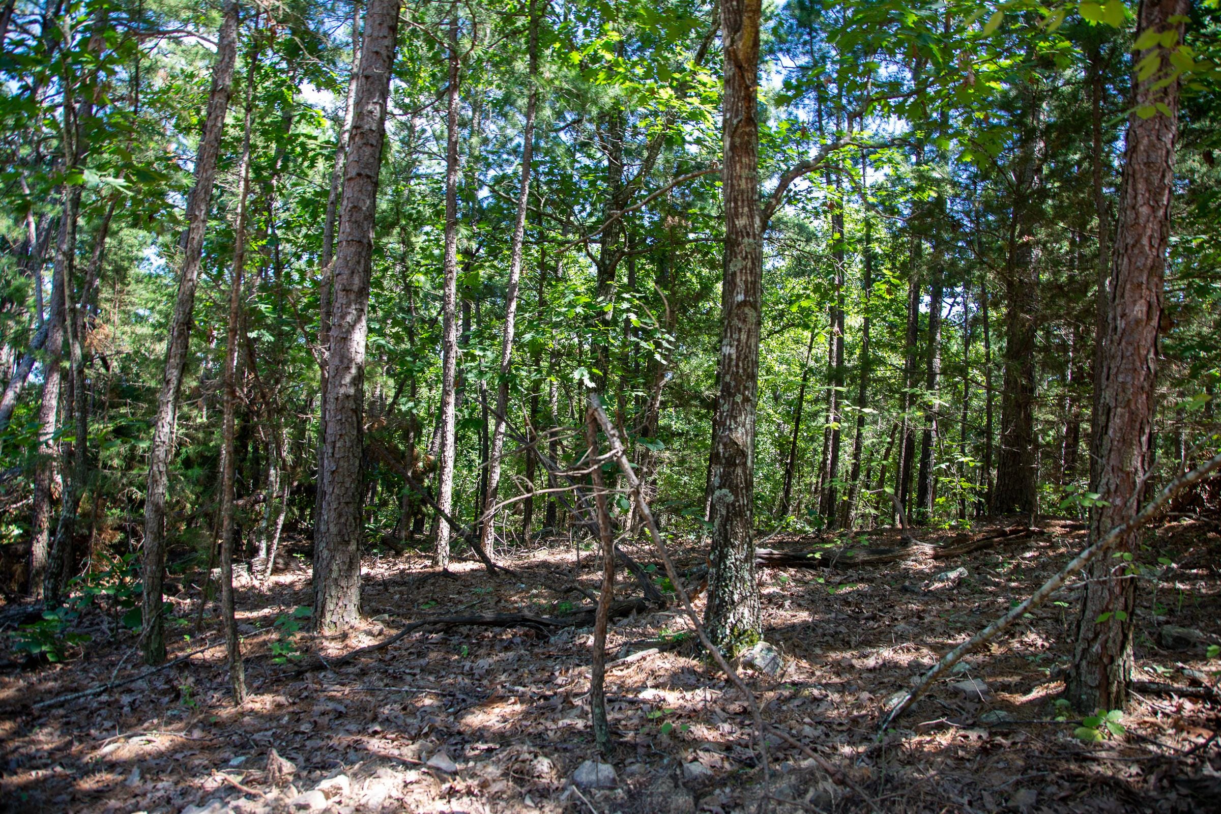 Tyler Stone Ranch Tract 37 photo 9