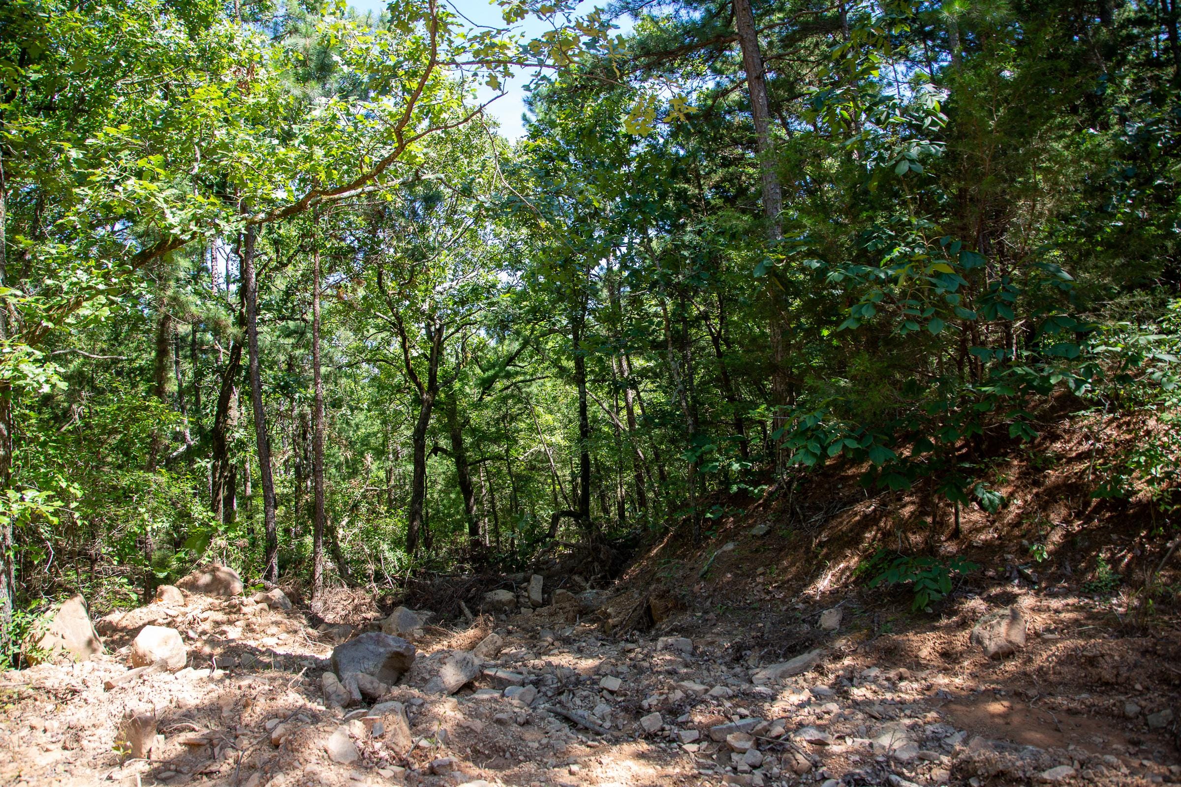 Tyler Stone Ranch Tract 37 photo 11