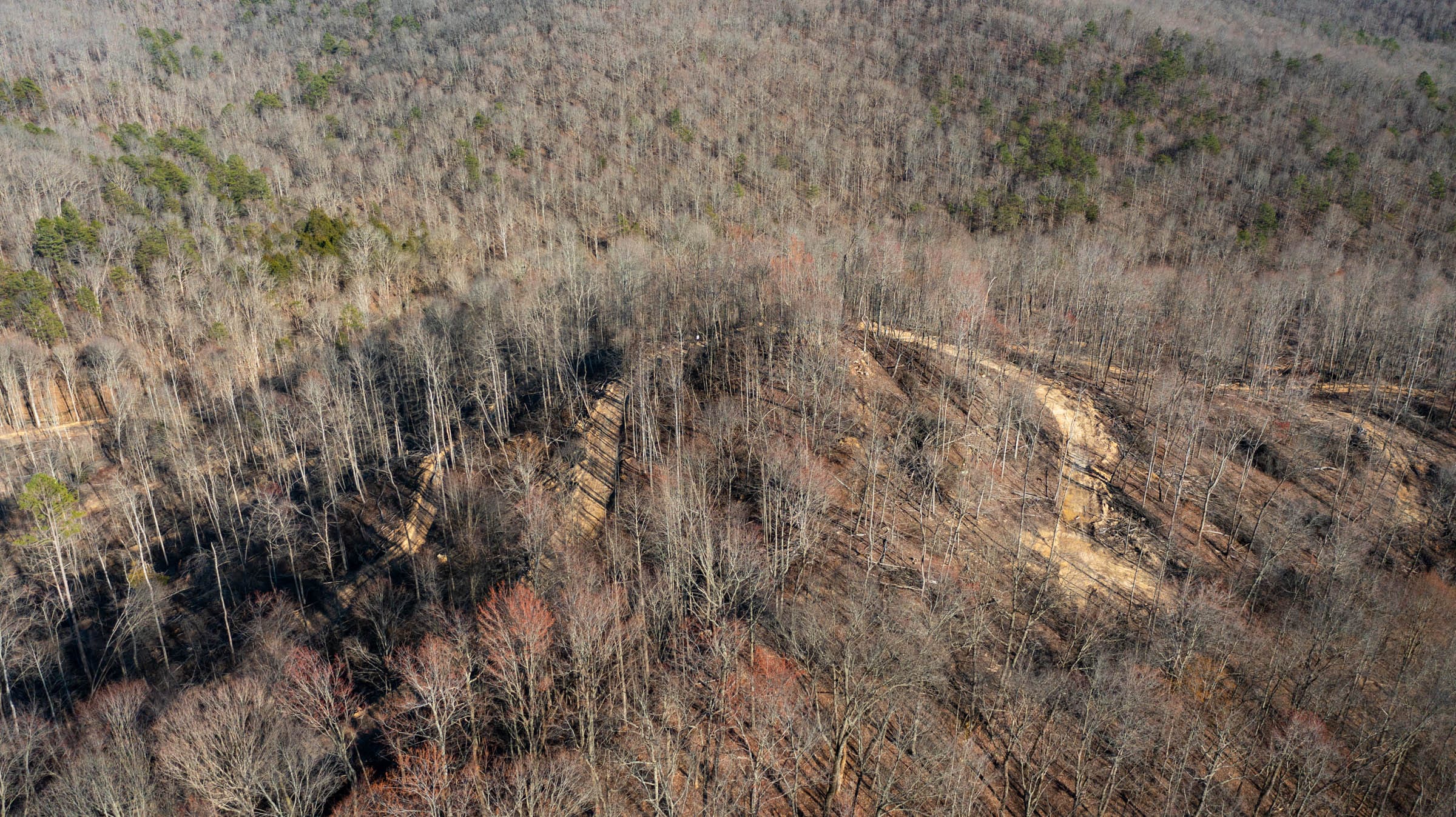 Creek Hollow Phase I Tract 12 photo 12