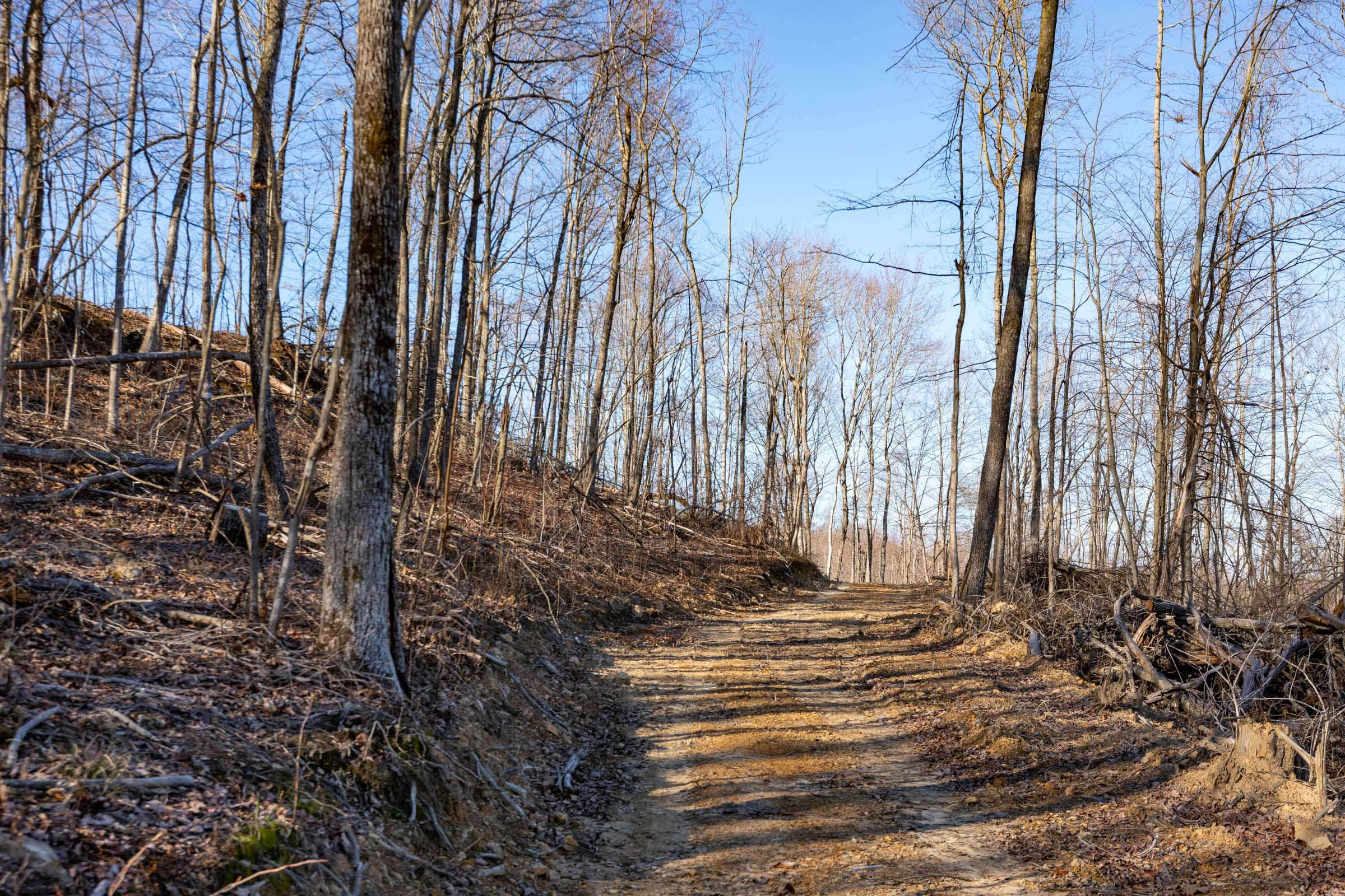 Creek Hollow Phase I Tract 12 photo 6