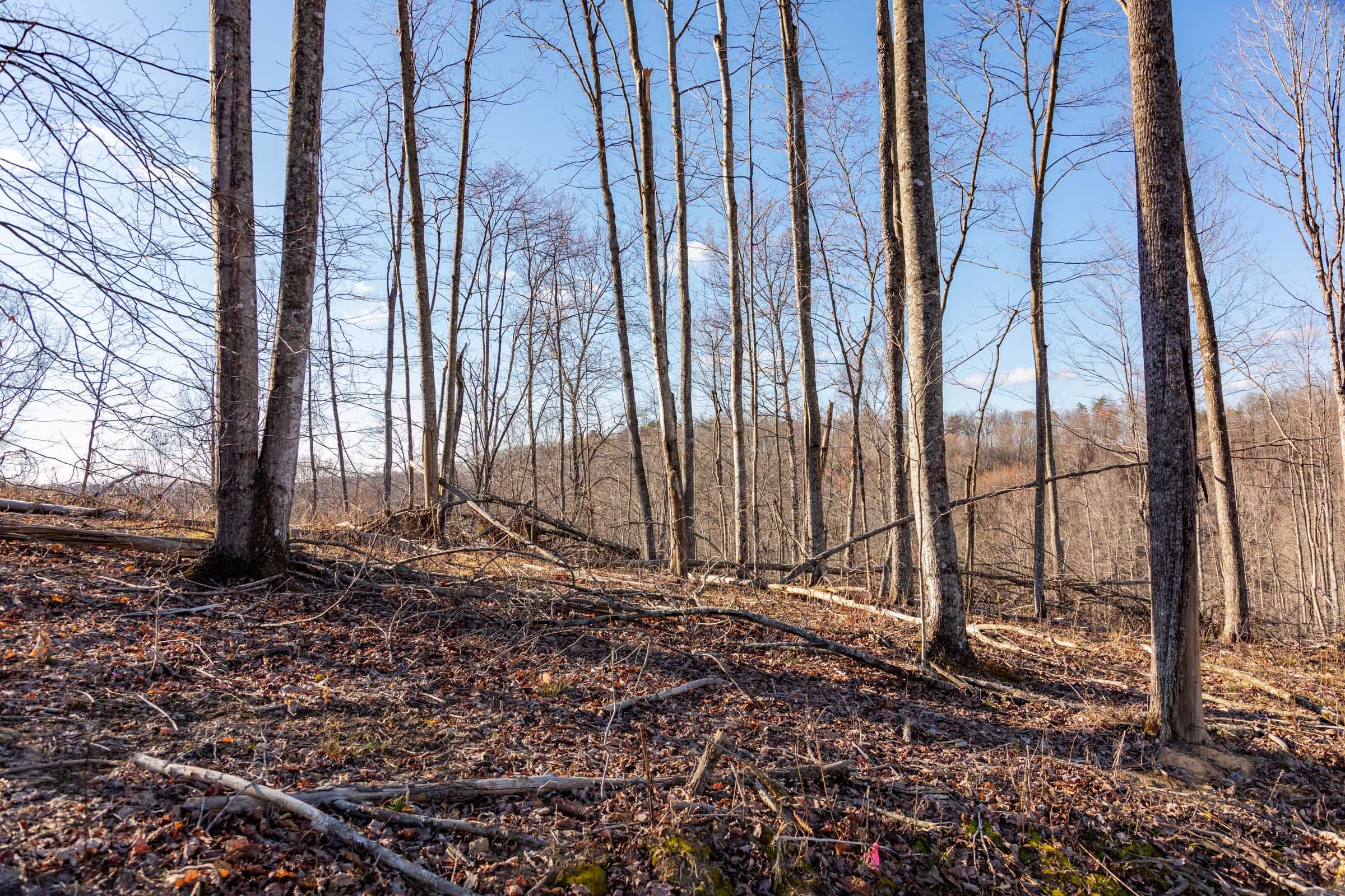 Creek Hollow Phase I Tract 12 photo 9