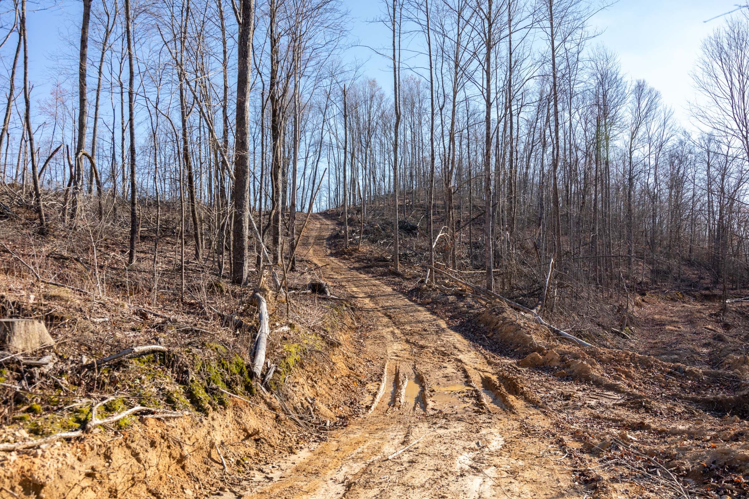 Creek Hollow Phase I Tract 12 photo 2