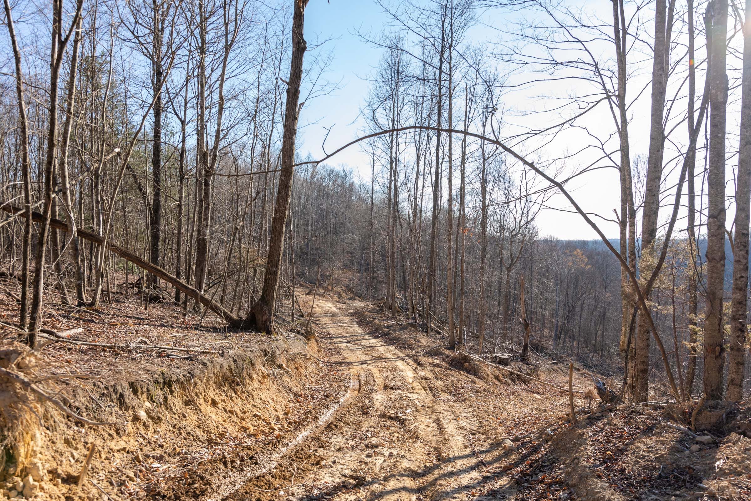Creek Hollow Phase I Tract 12 photo 8