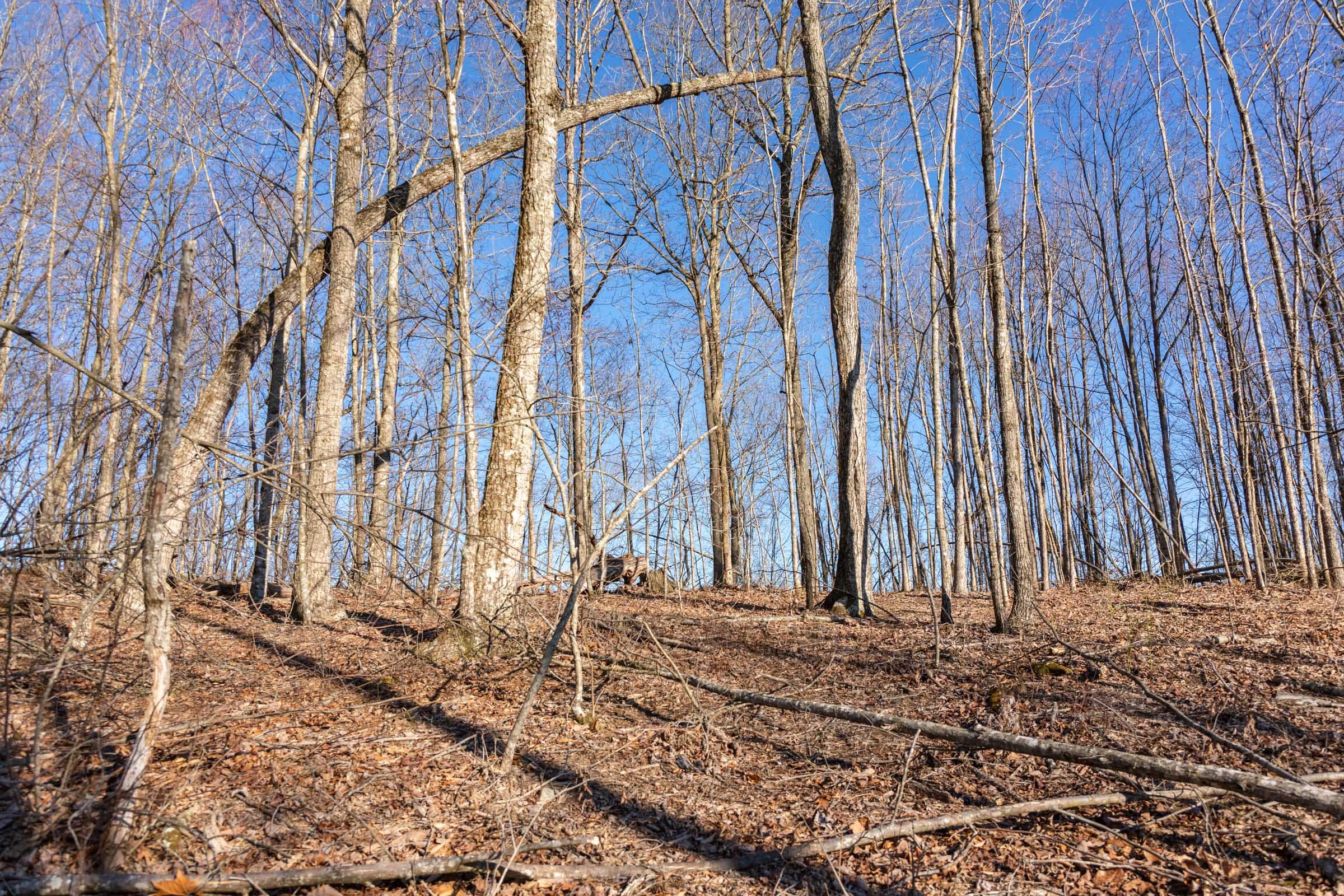 Creek Hollow Phase I Tract 12 photo 10