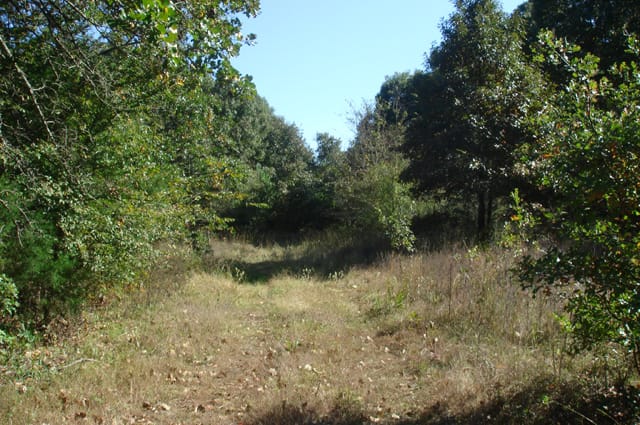 Hannubby Creek Tract 6 photo 5