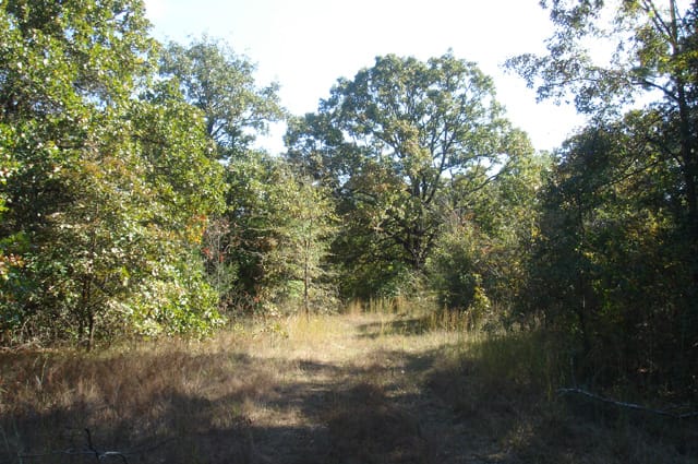 Hannubby Creek Tract 6 photo 7