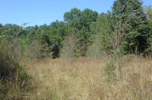 Hannubby Creek Tract 6 photo 8