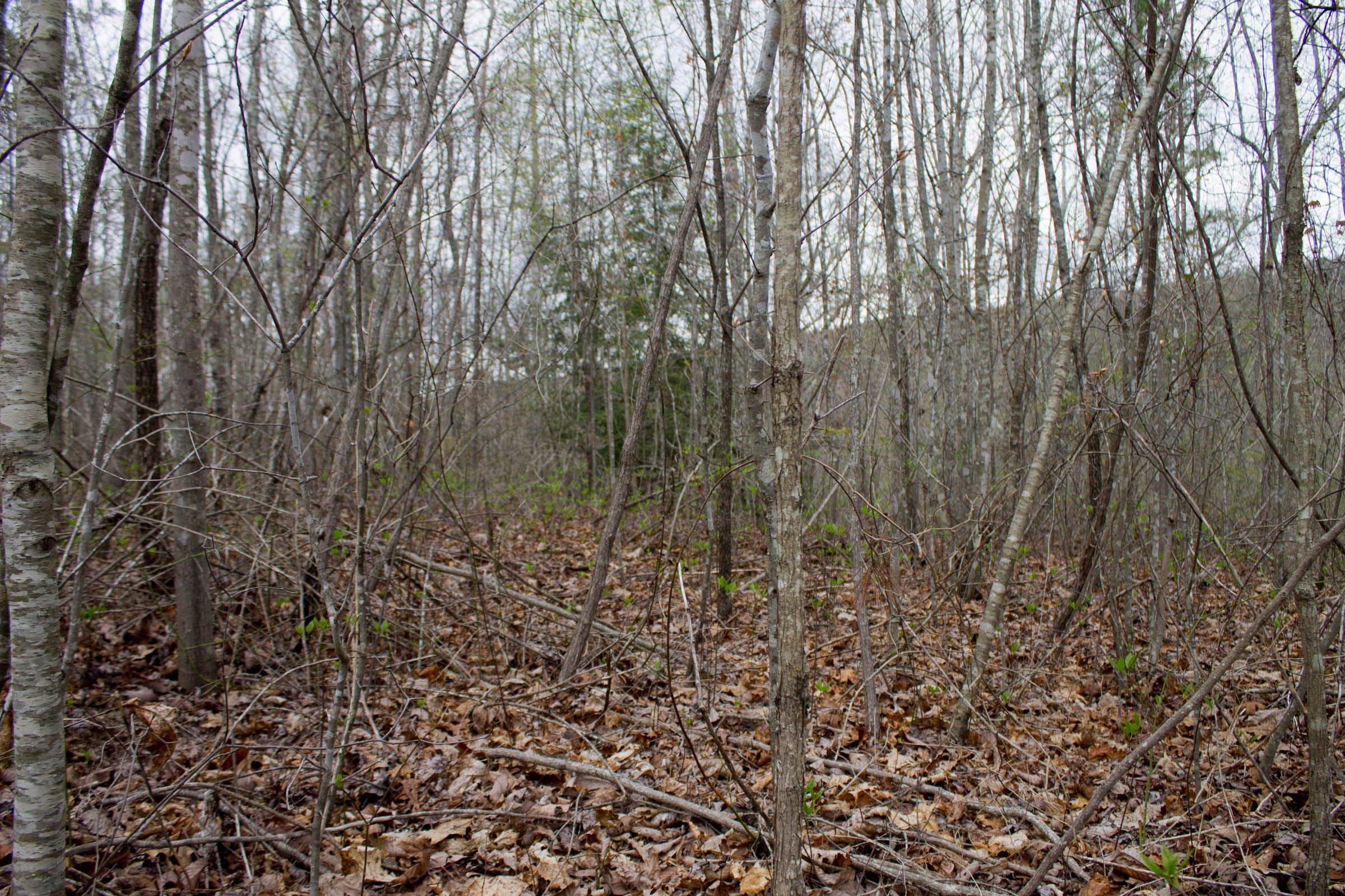 Hidden Hills Tract 24 photo 2