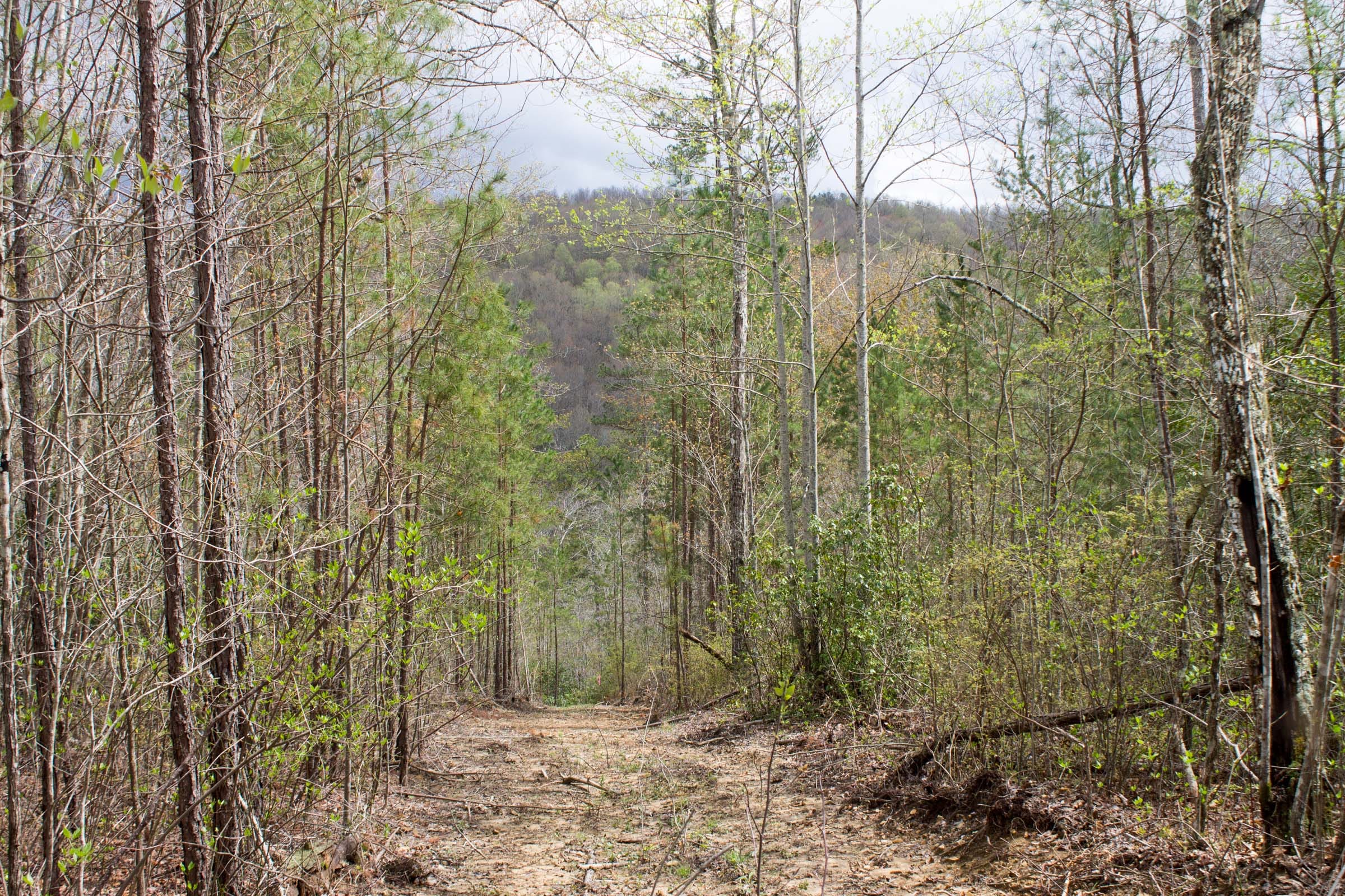 Hidden Hills Tract 24 photo 1