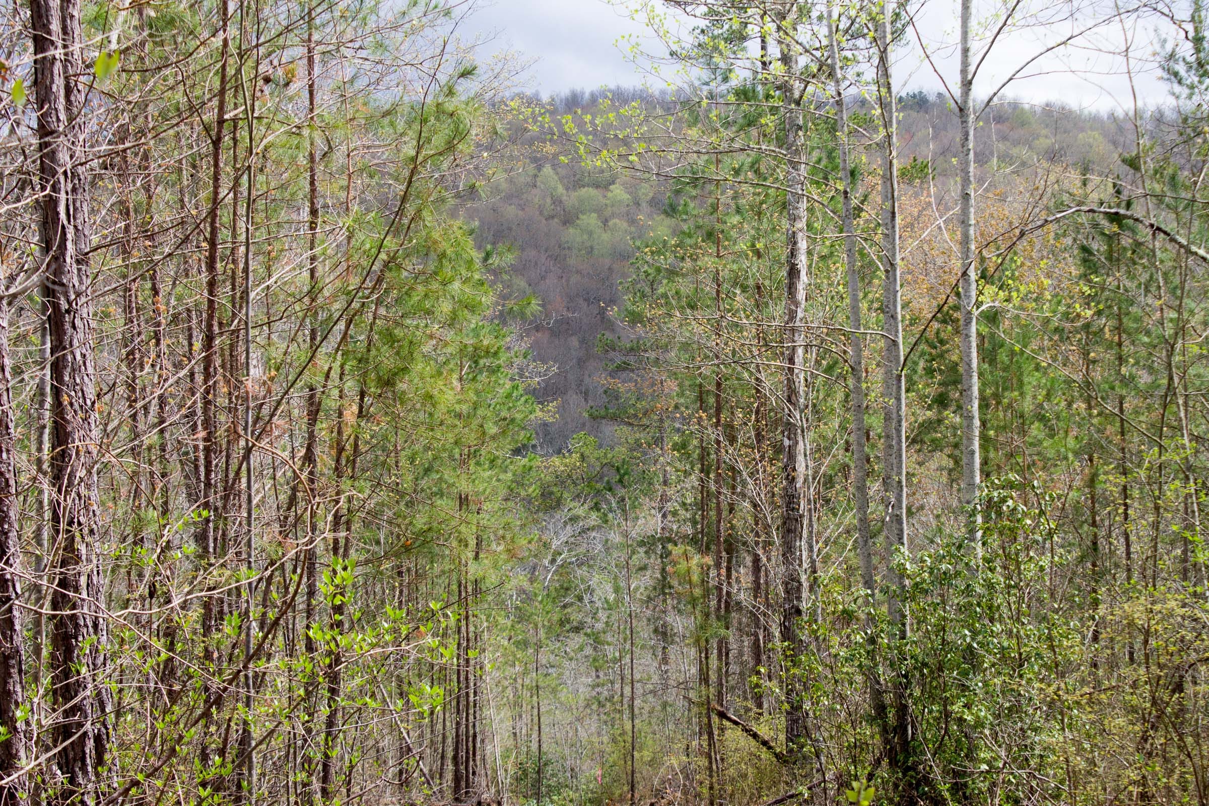 Hidden Hills Tract 24 photo 6