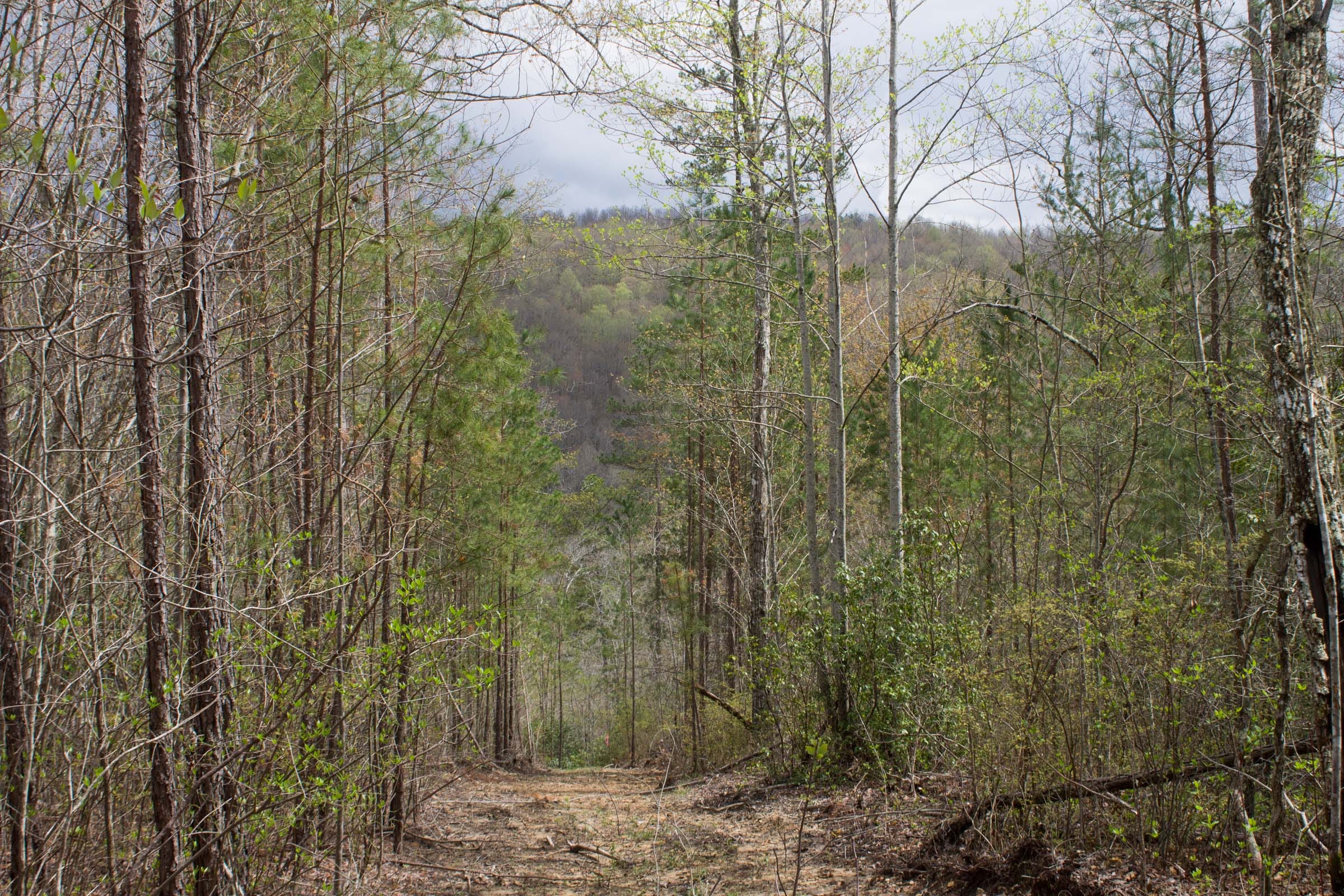 Hidden Hills Tract 24 photo 7